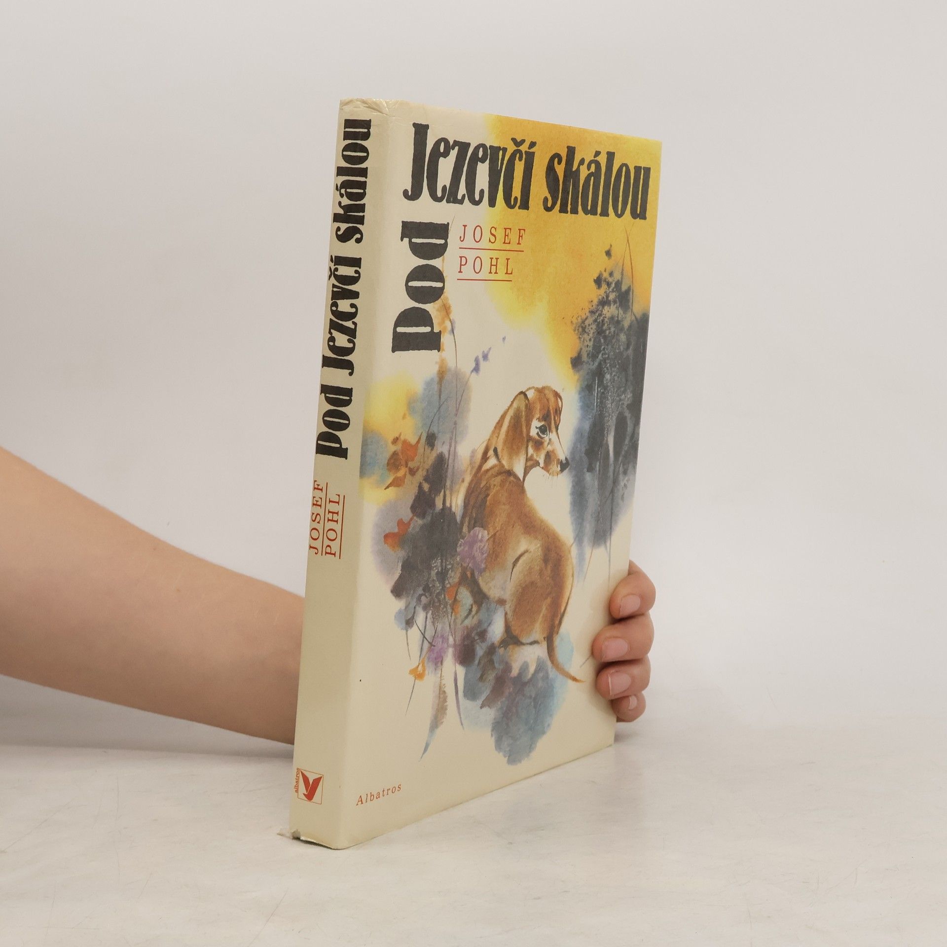 Josef Pohl Pod Jezevčí skálou