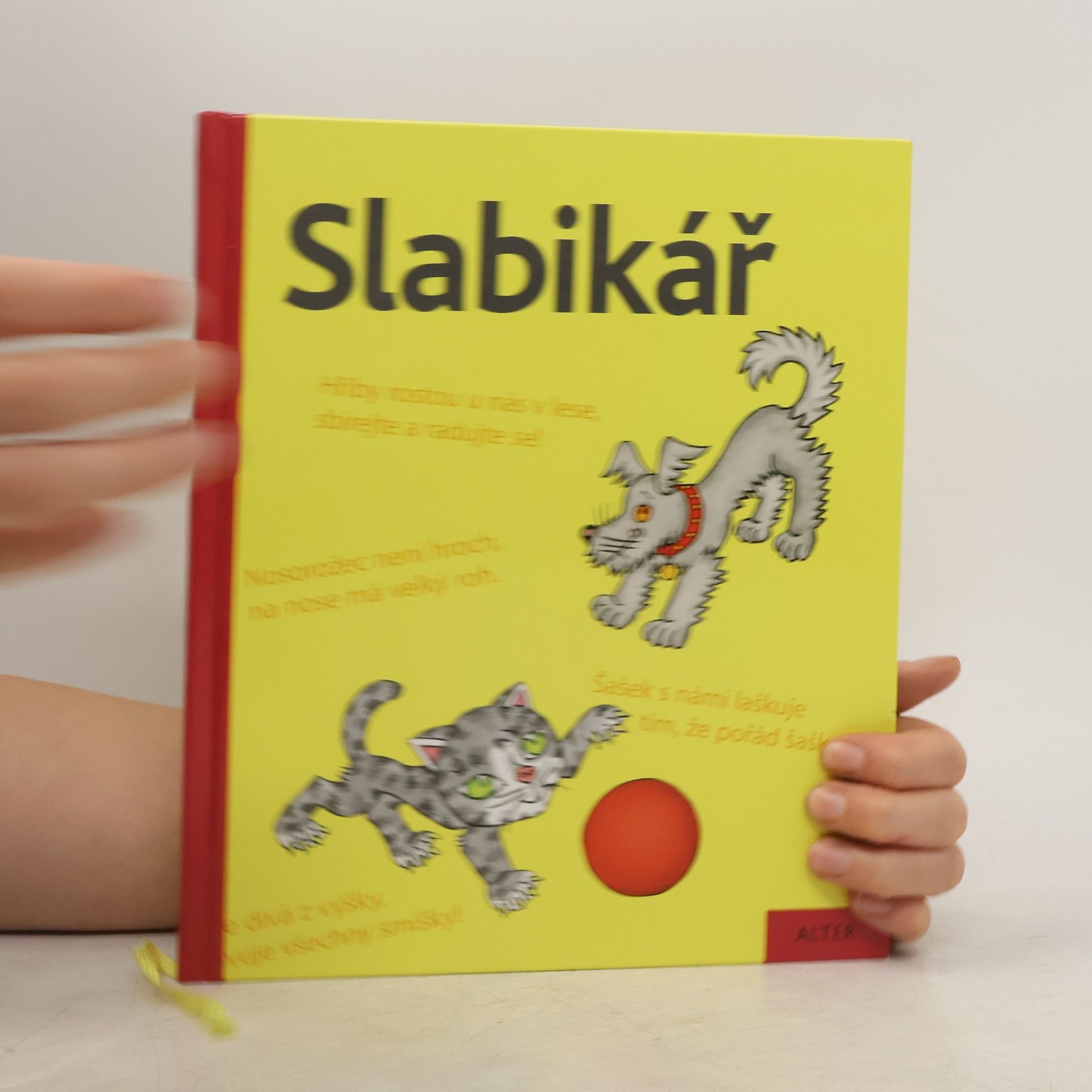 Jiří Žáček Slabikář : učebnice pro vzdělávací obor Český jazyk a literatura