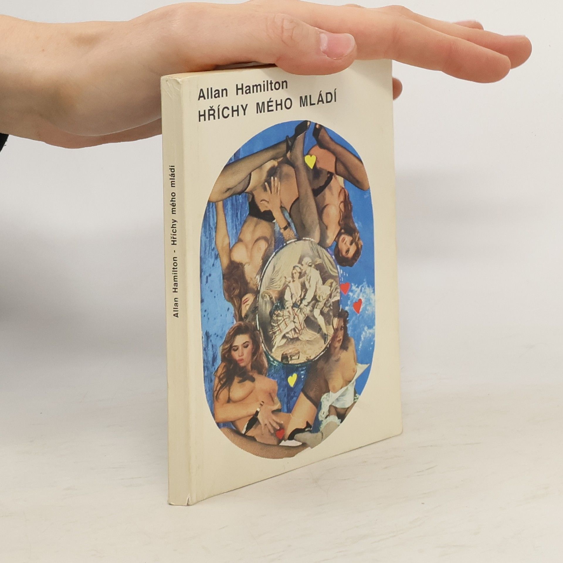 Allan Hamilton  Hříchy mého mládí, svazek 4