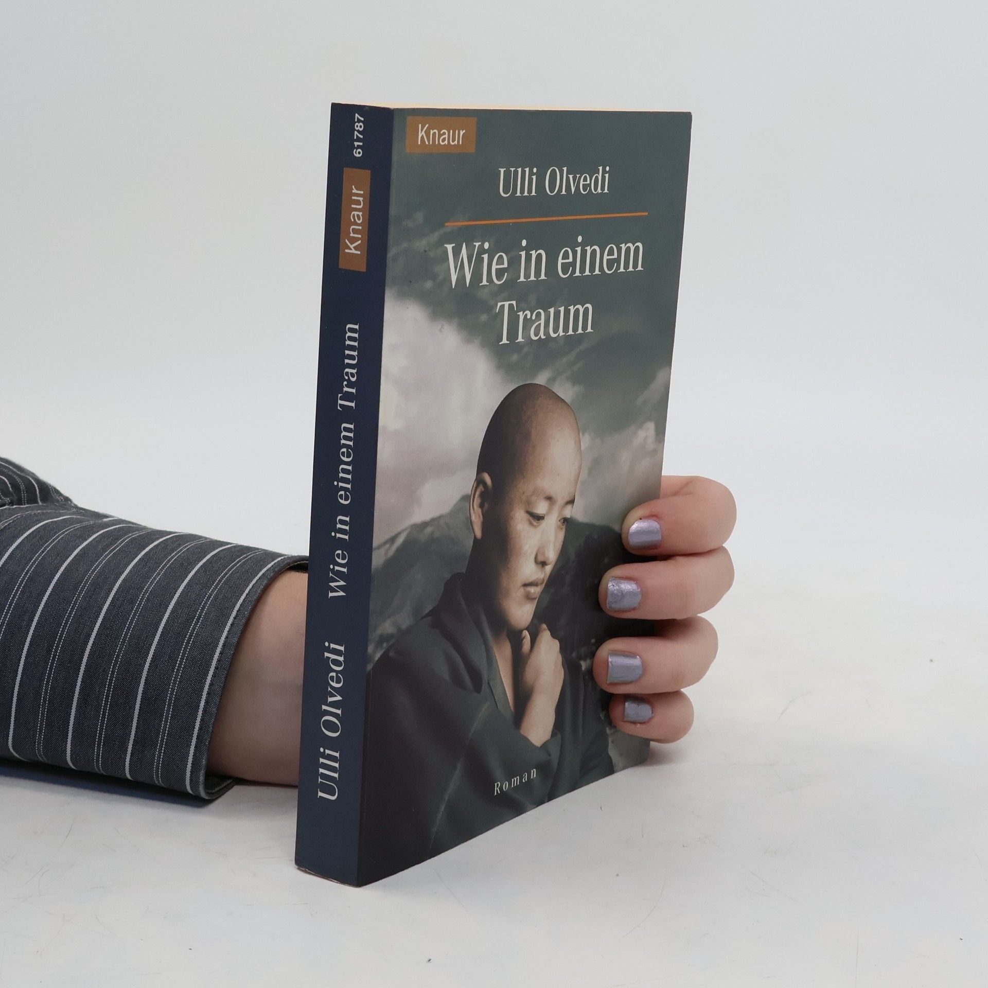 Ulli Olvedi Wie in einem Traum