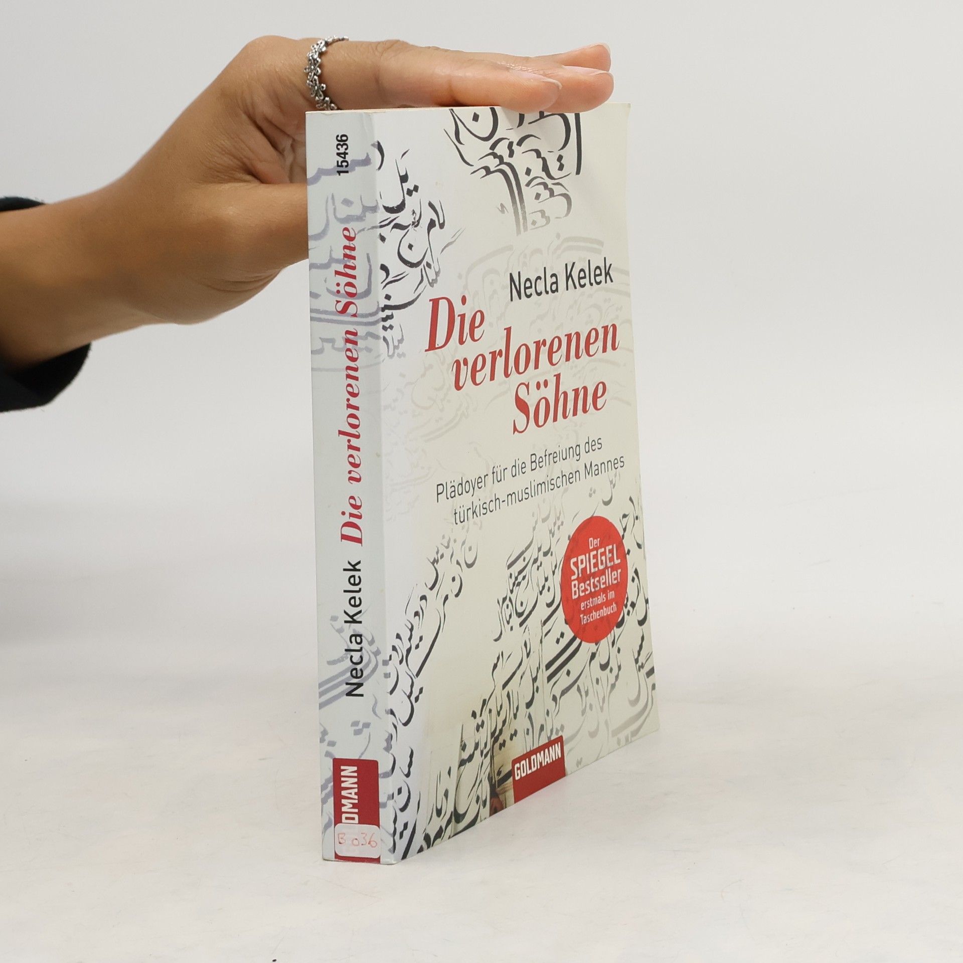 Die verlorenen Söhne