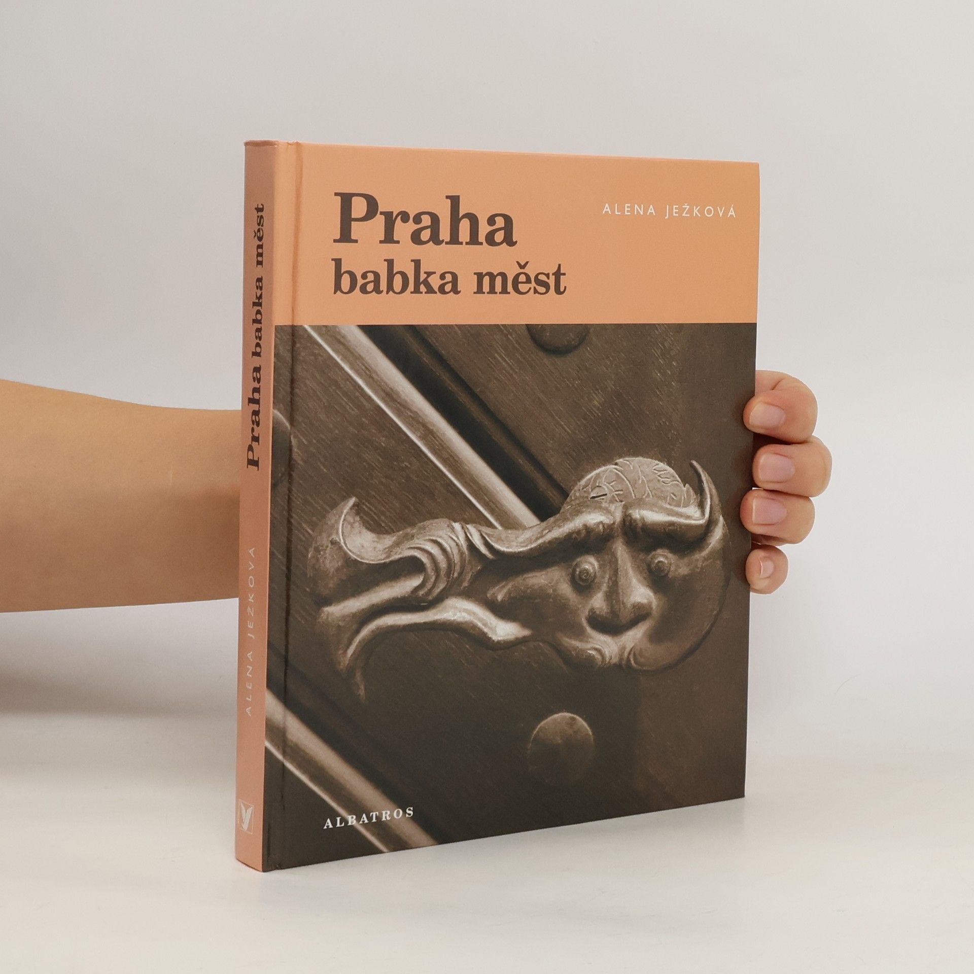 Alena Ježková Praha babka měst