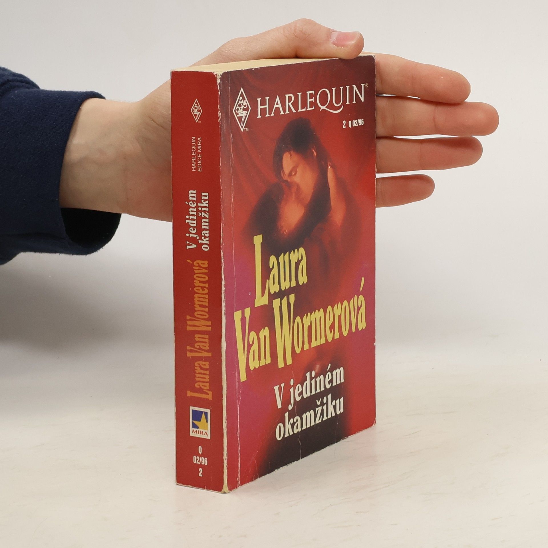 Laura van Wormer V jediném okamžiku