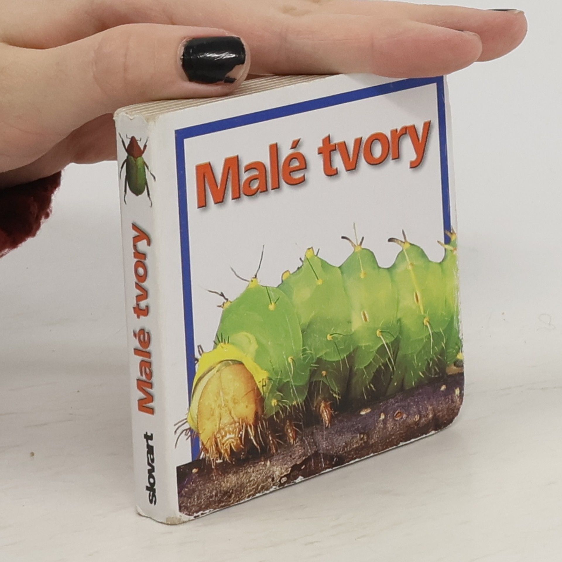 Autorenkollektiv Malé tvory