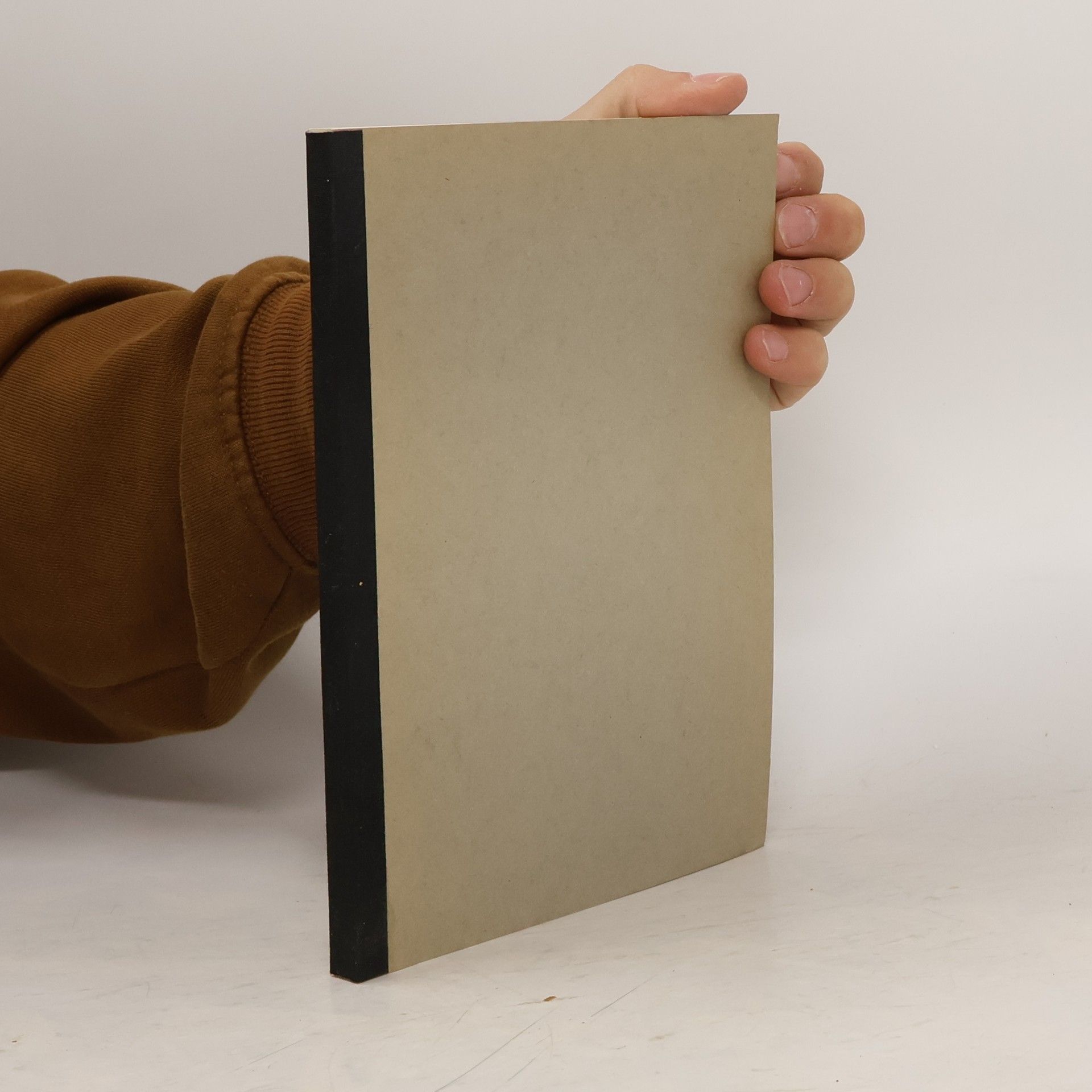 W. Rieder Plasma und Lichtbogen