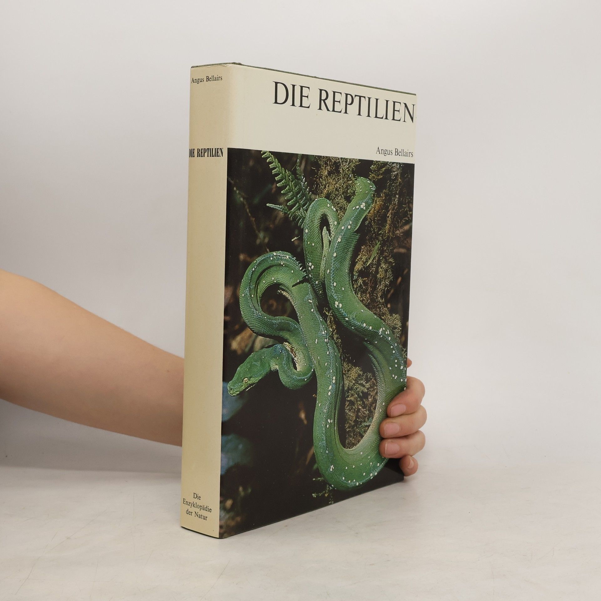 Die Reptilien