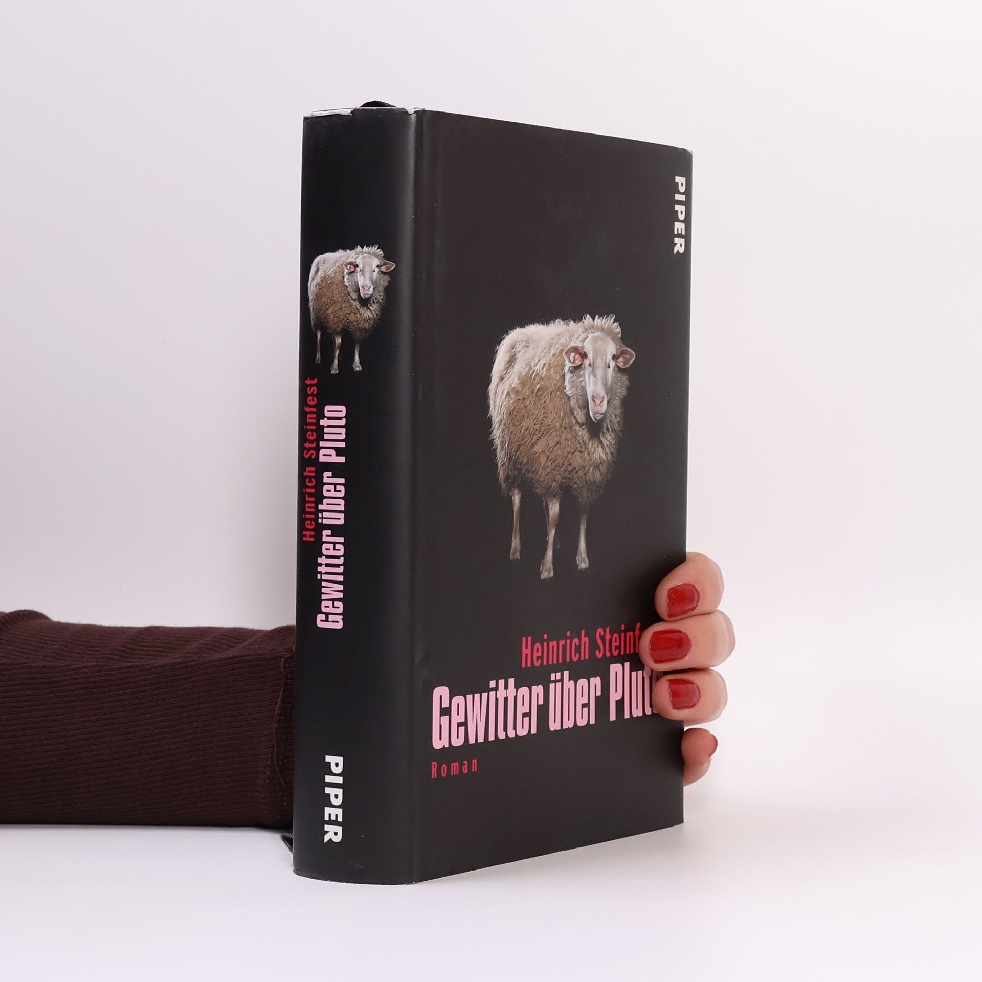 Heinrich Steinfest Gewitter über Pluto