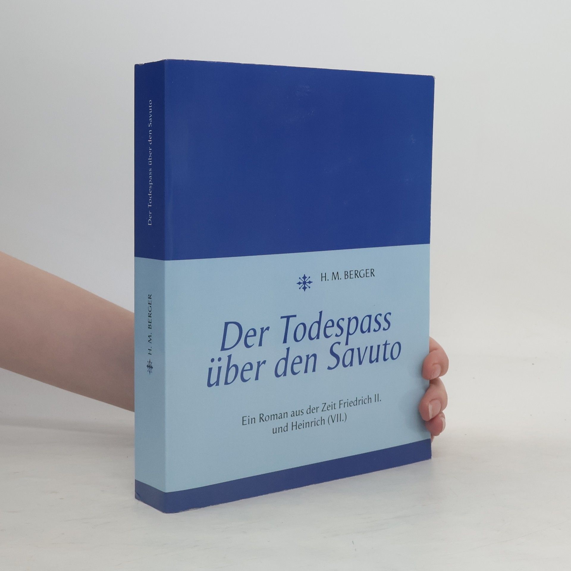 H. M. Berger Der Todespass über den Savuto