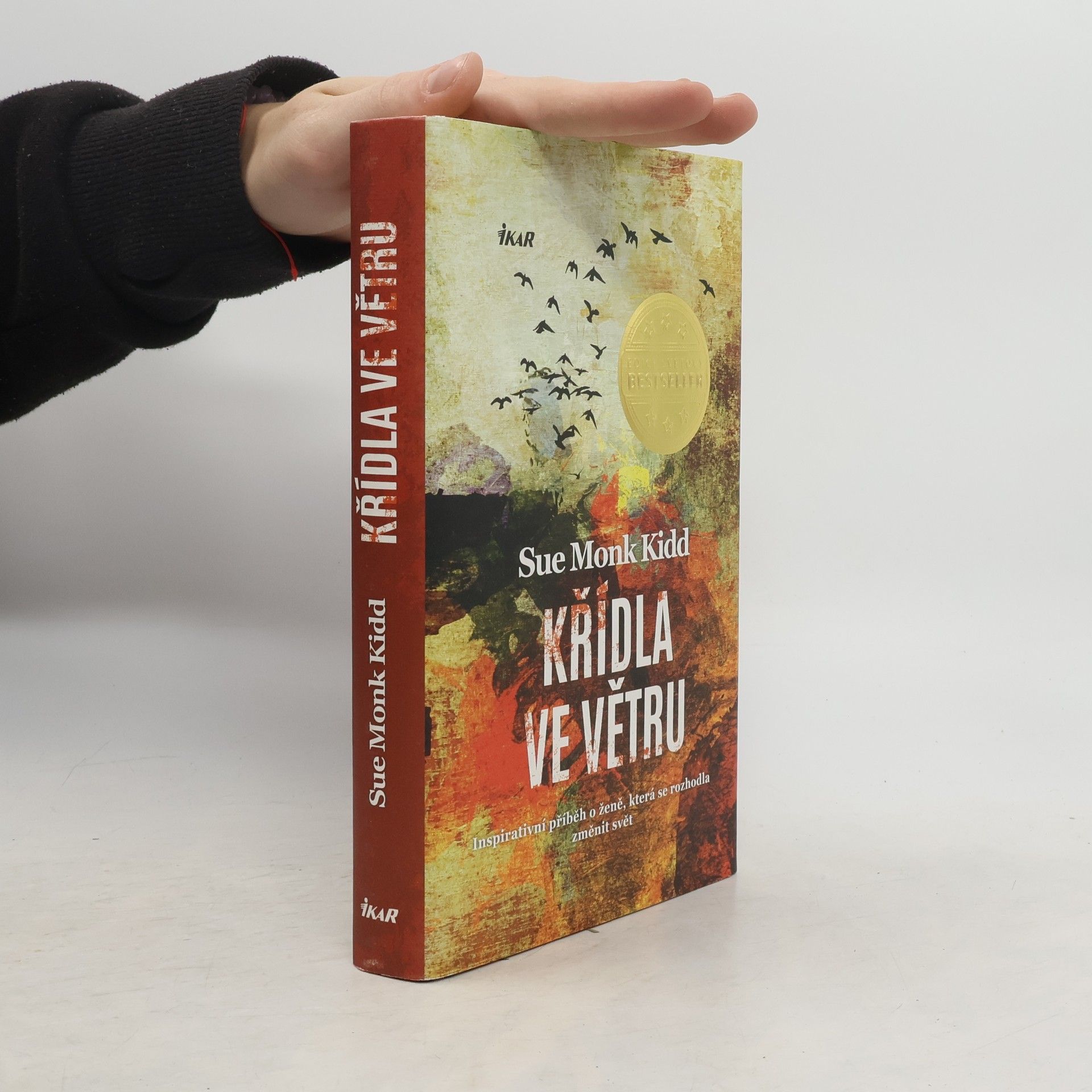 Sue Monk Kidd Křídla ve větru