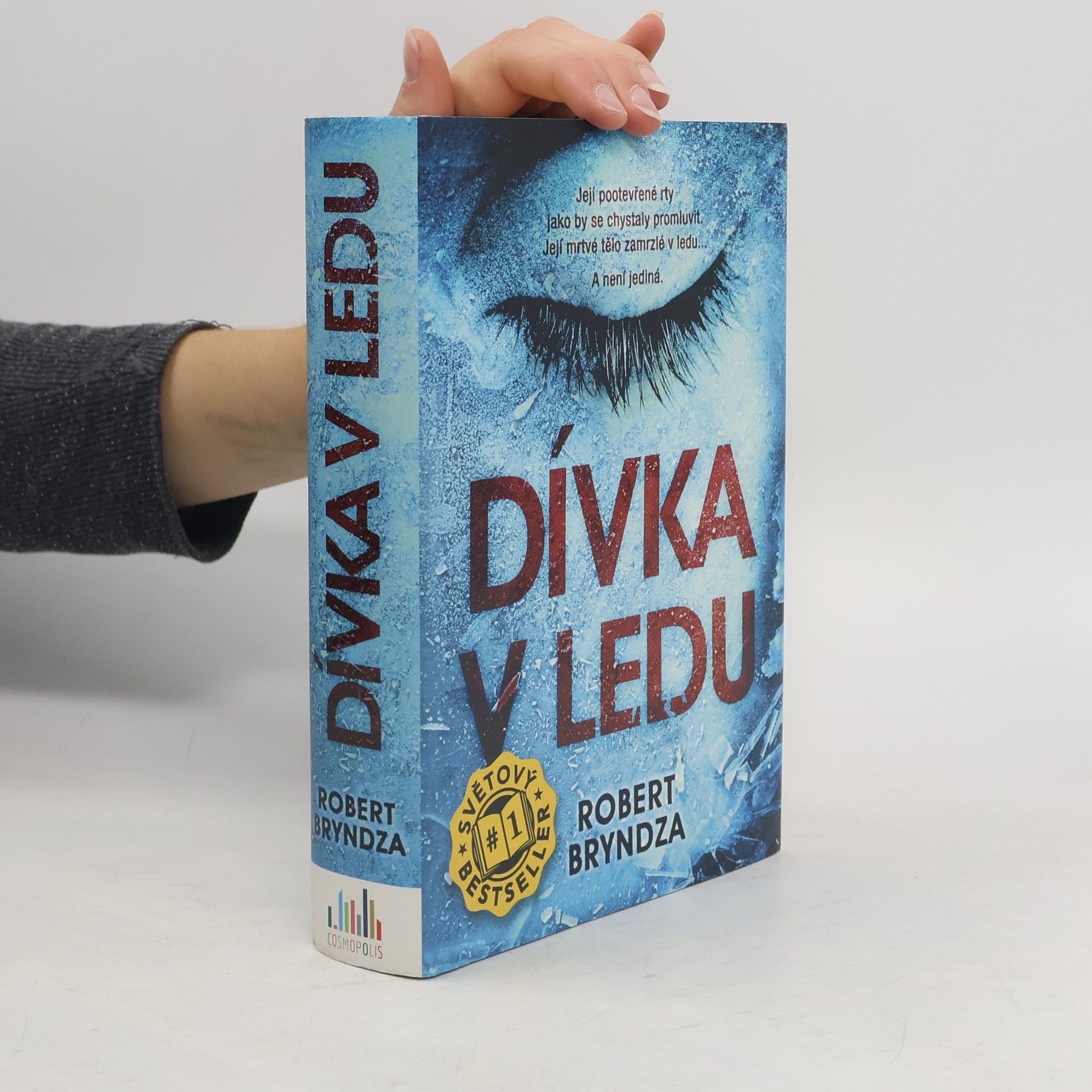 Dívka v ledu