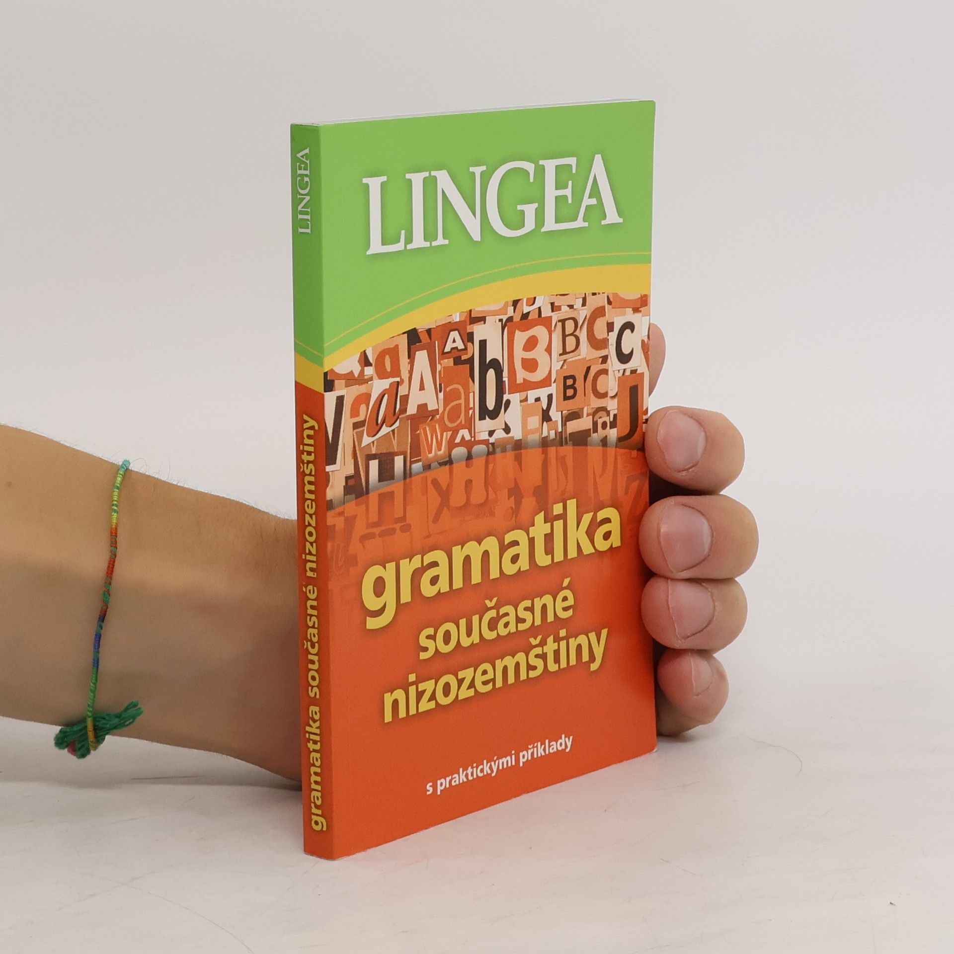 Autorenkollektiv Gramatika současné nizozemštiny