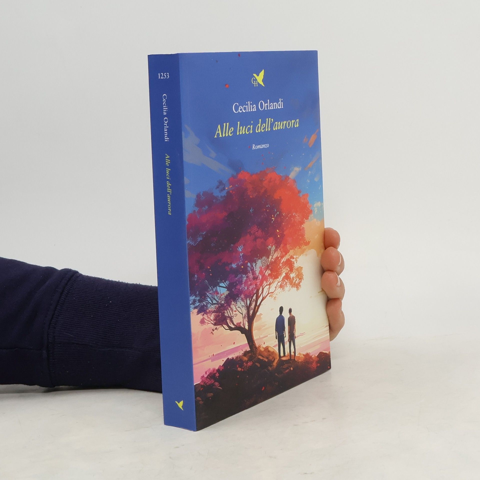 Cecilia Orlandi Alle luci dell'aurora