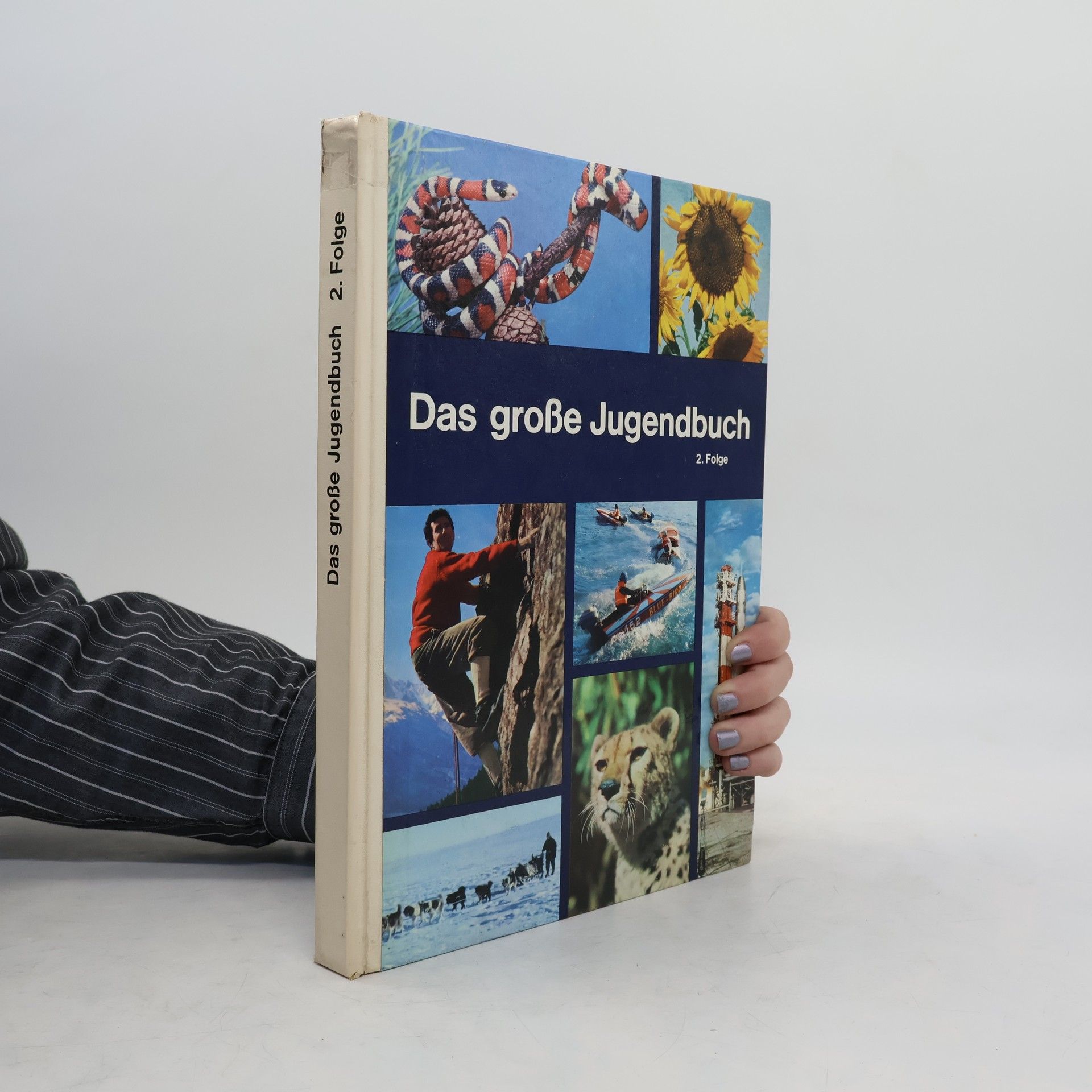Kolektív autorov Das große Jugendbuch 2. Folge