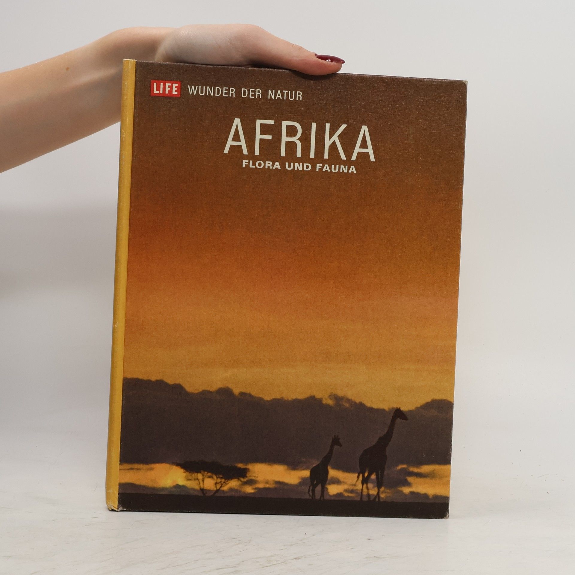 Autorenkollektiv Afrika. Flora und Fauna