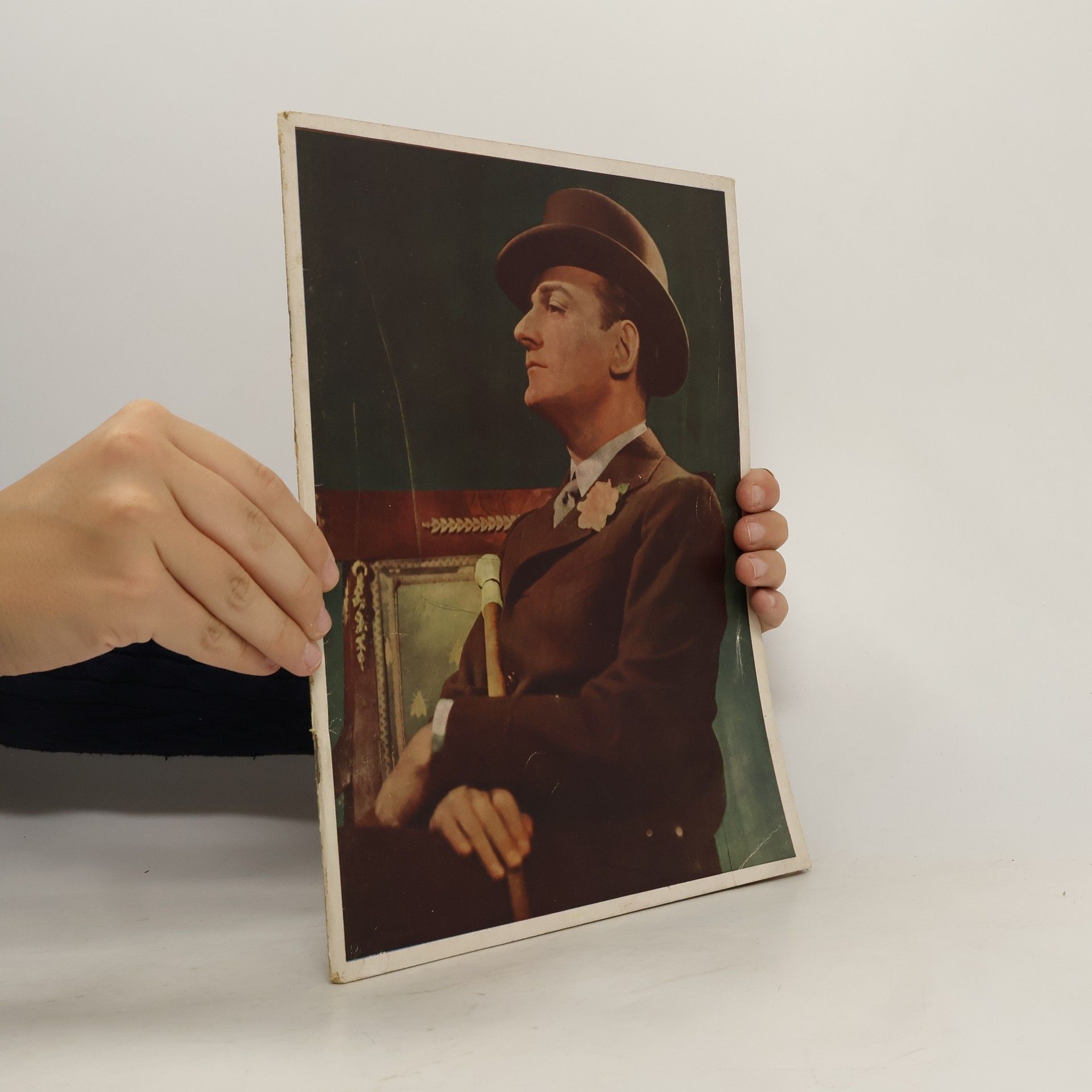 Collectif d'auteurs Willi Forst in Bild und Ton