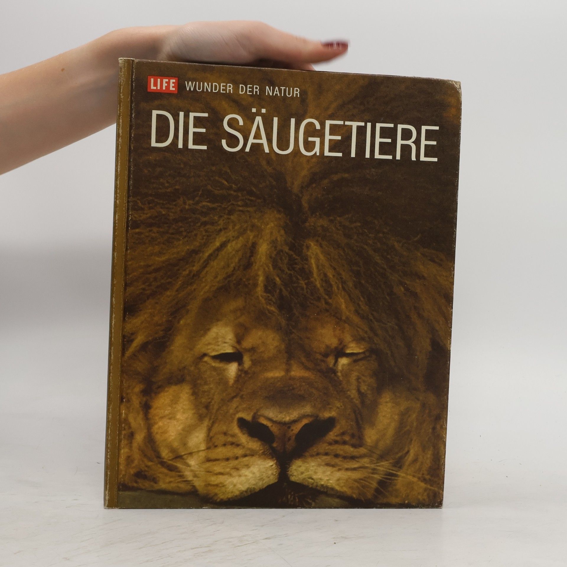 Autorenkollektiv Die Säugetiere