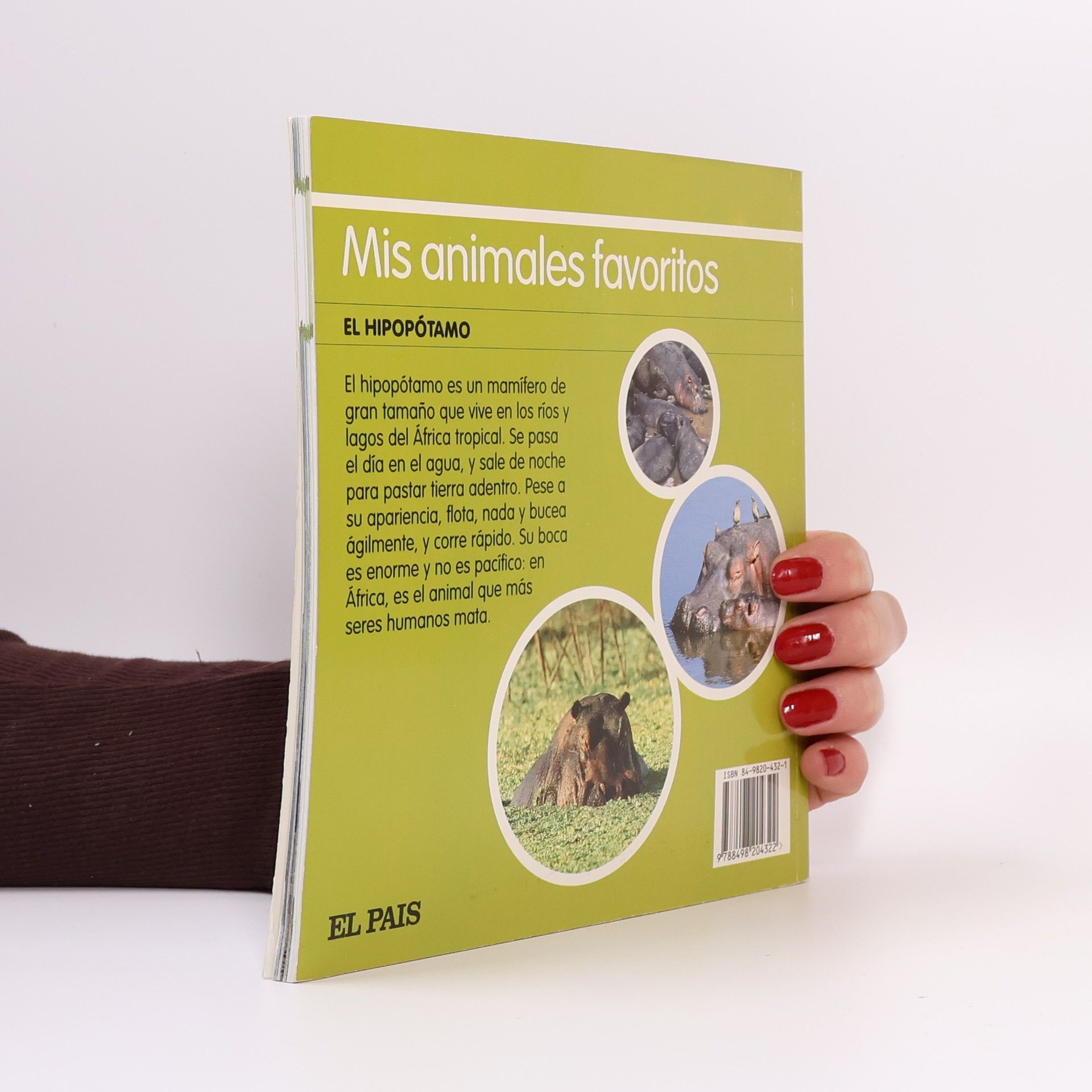 Mis animales favoritos - 16: El hipopótamo