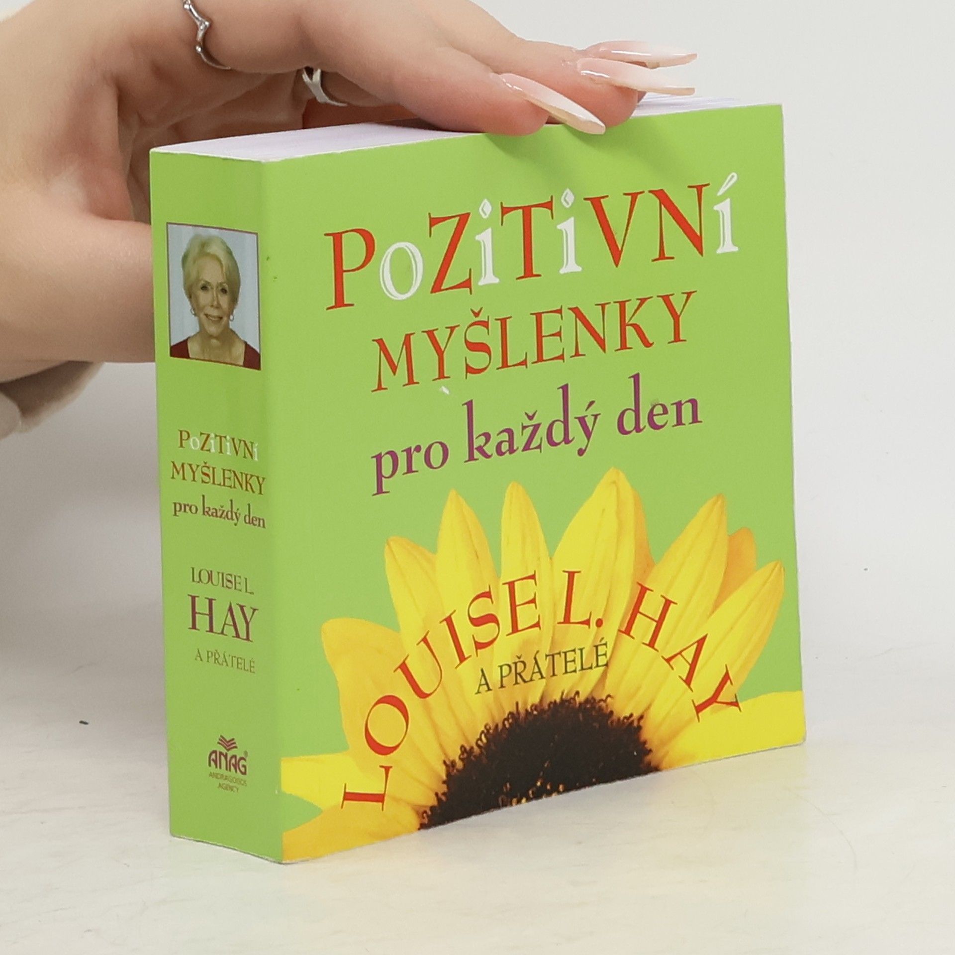 Lousie L. Hay Pozitivní myšlenky pro každý den