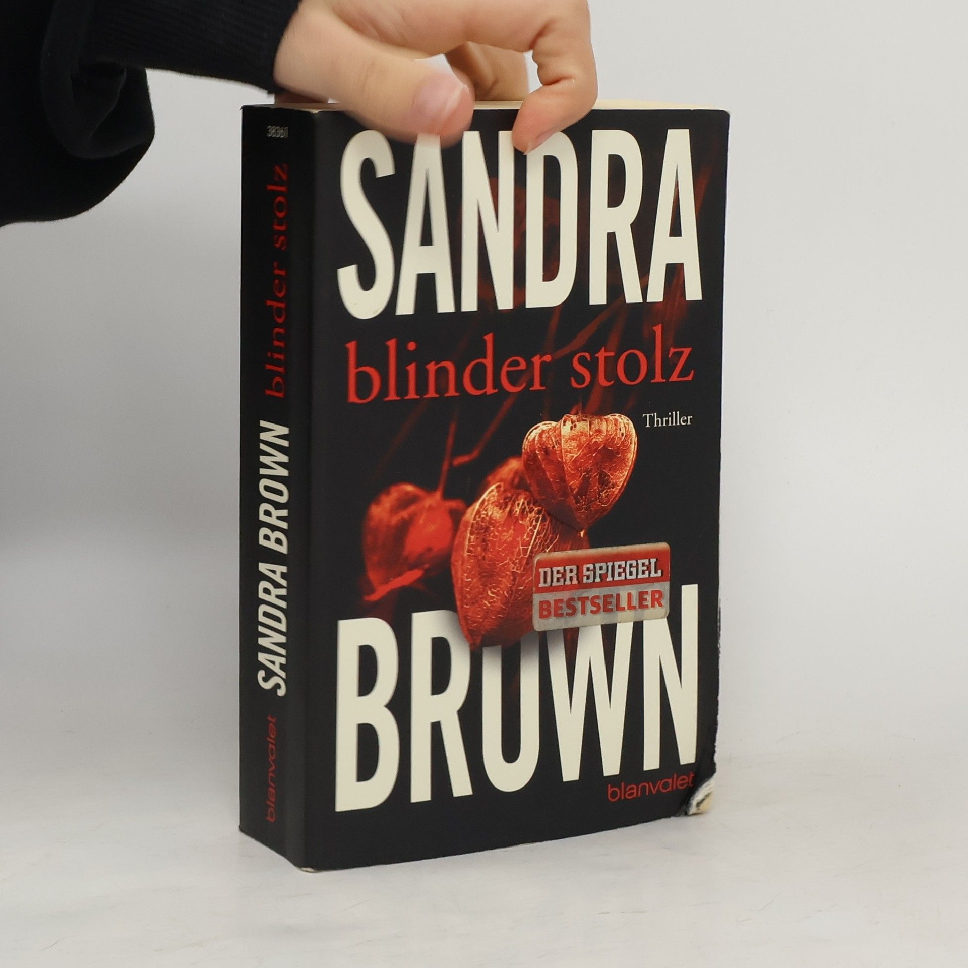 Sandra Brown Blinder Stolz
