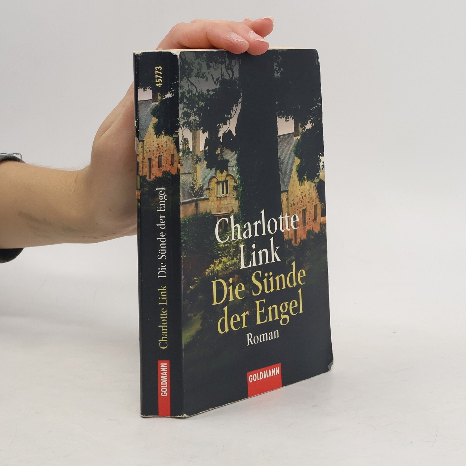 Charlotte Link Die Sünde der Engel