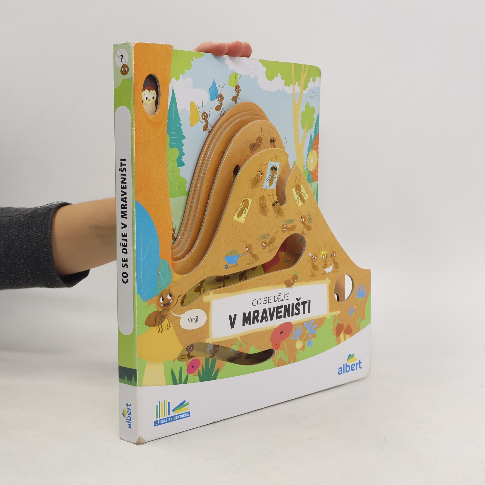 Kolektiv autorů Co se děje v mraveništi