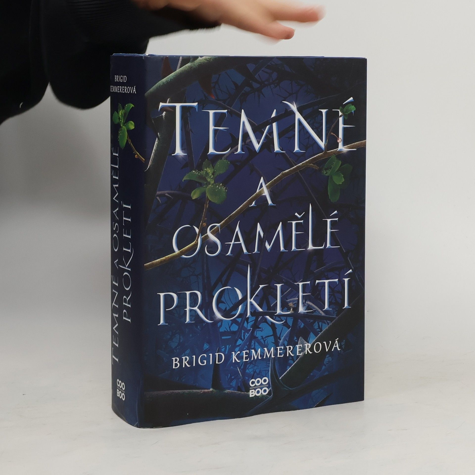 Brigid Kemmererová Temné a osamělé prokletí