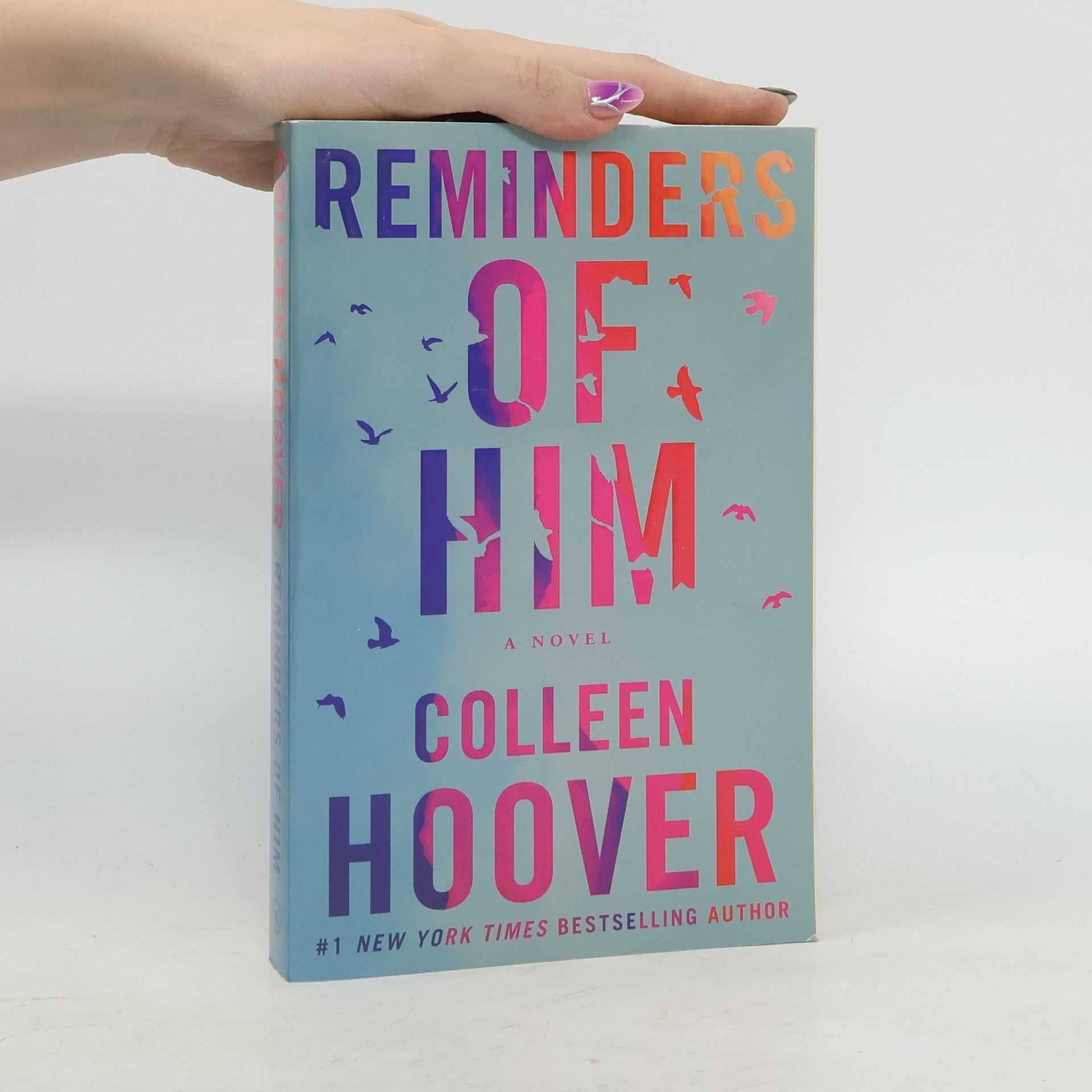 Colleen Hoover Reminders of him