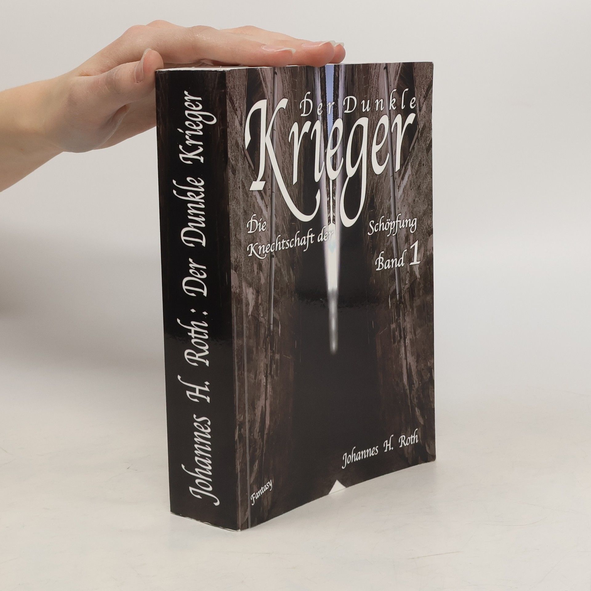 Johannes H. Roth Der dunkle Krieger