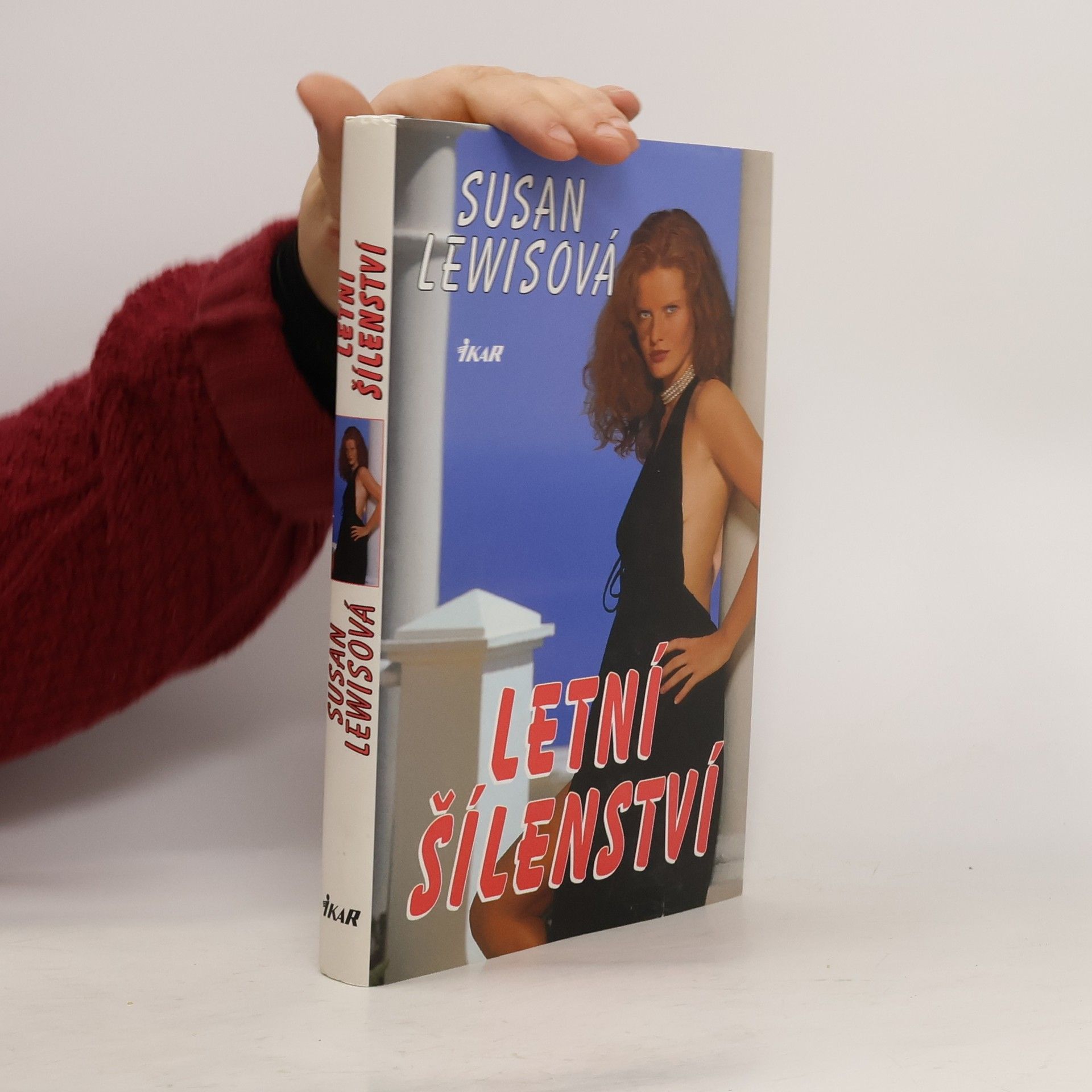 Susan Lewis Letní šílenství