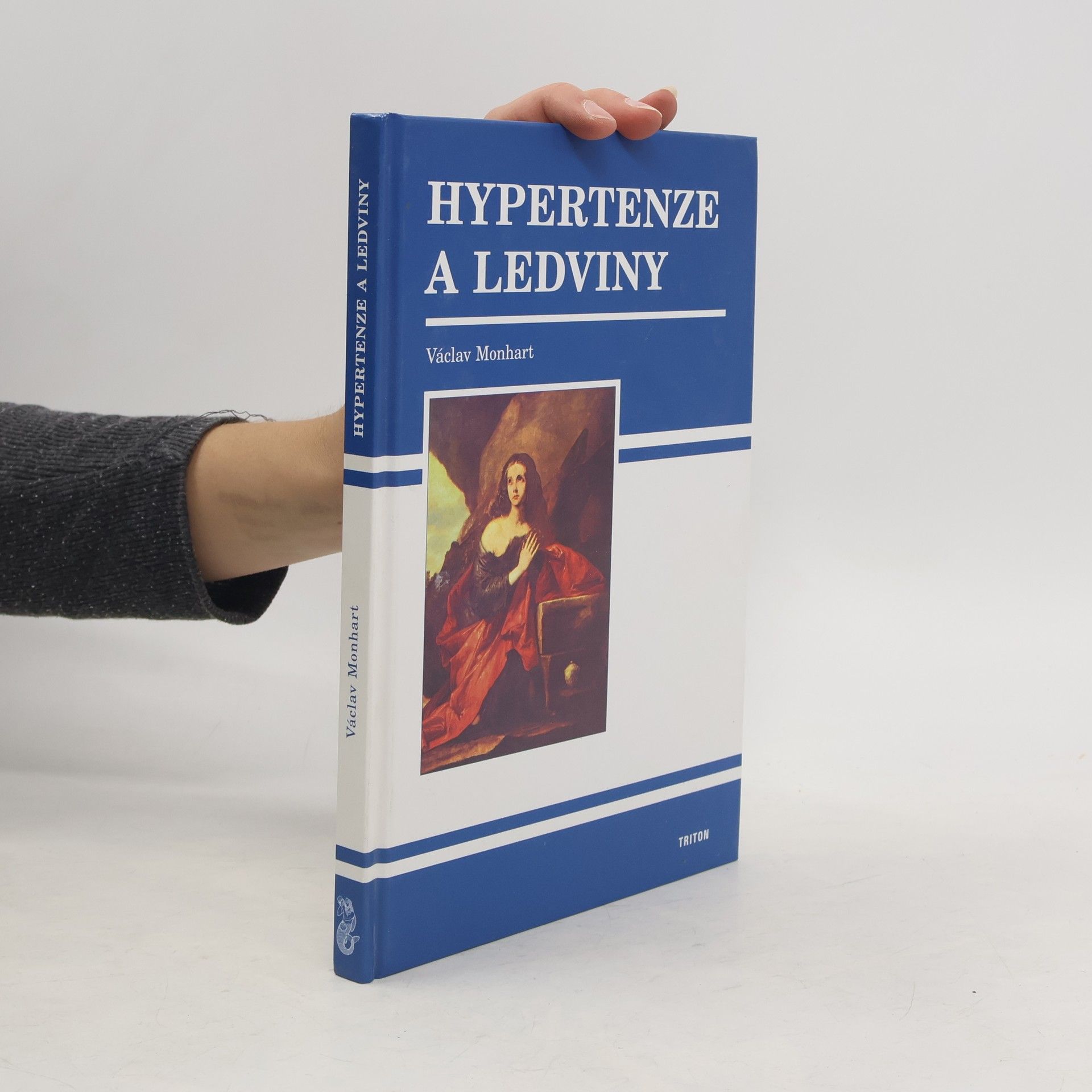 Hypertenze a ledviny