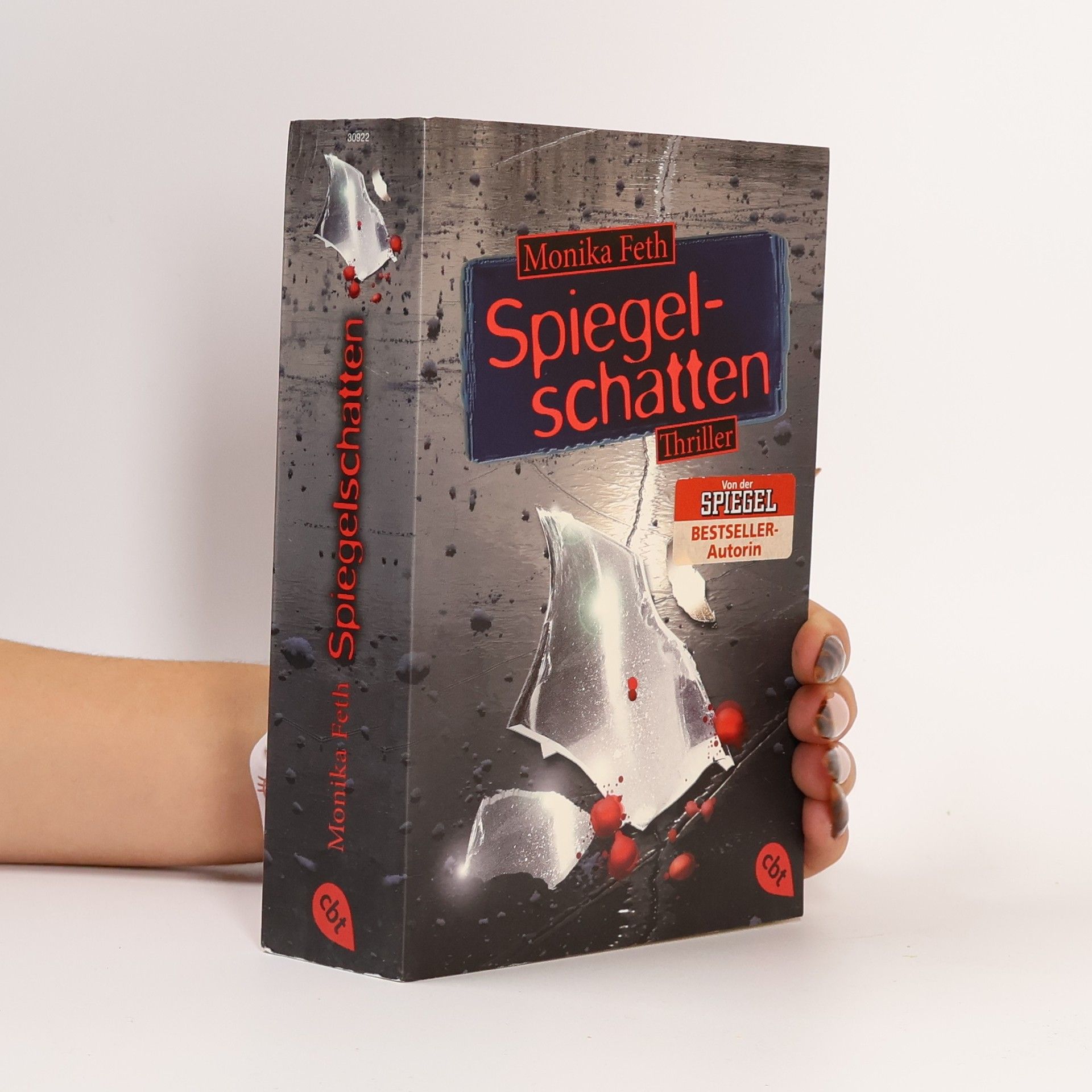 Monika Feth Spiegelschatten