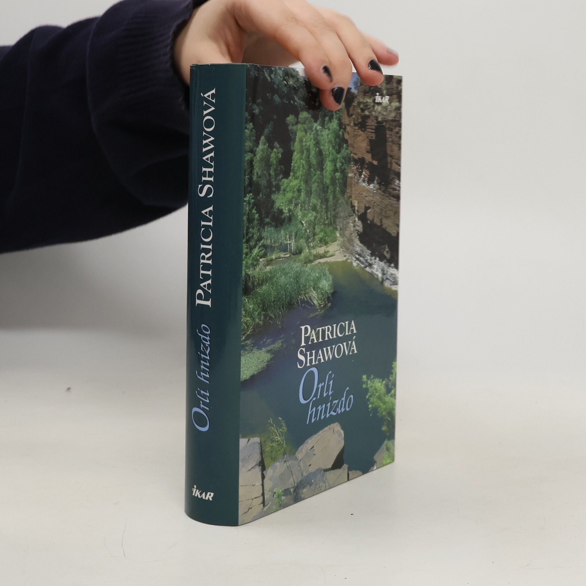 Patricia Shaw Orlí hnízdo