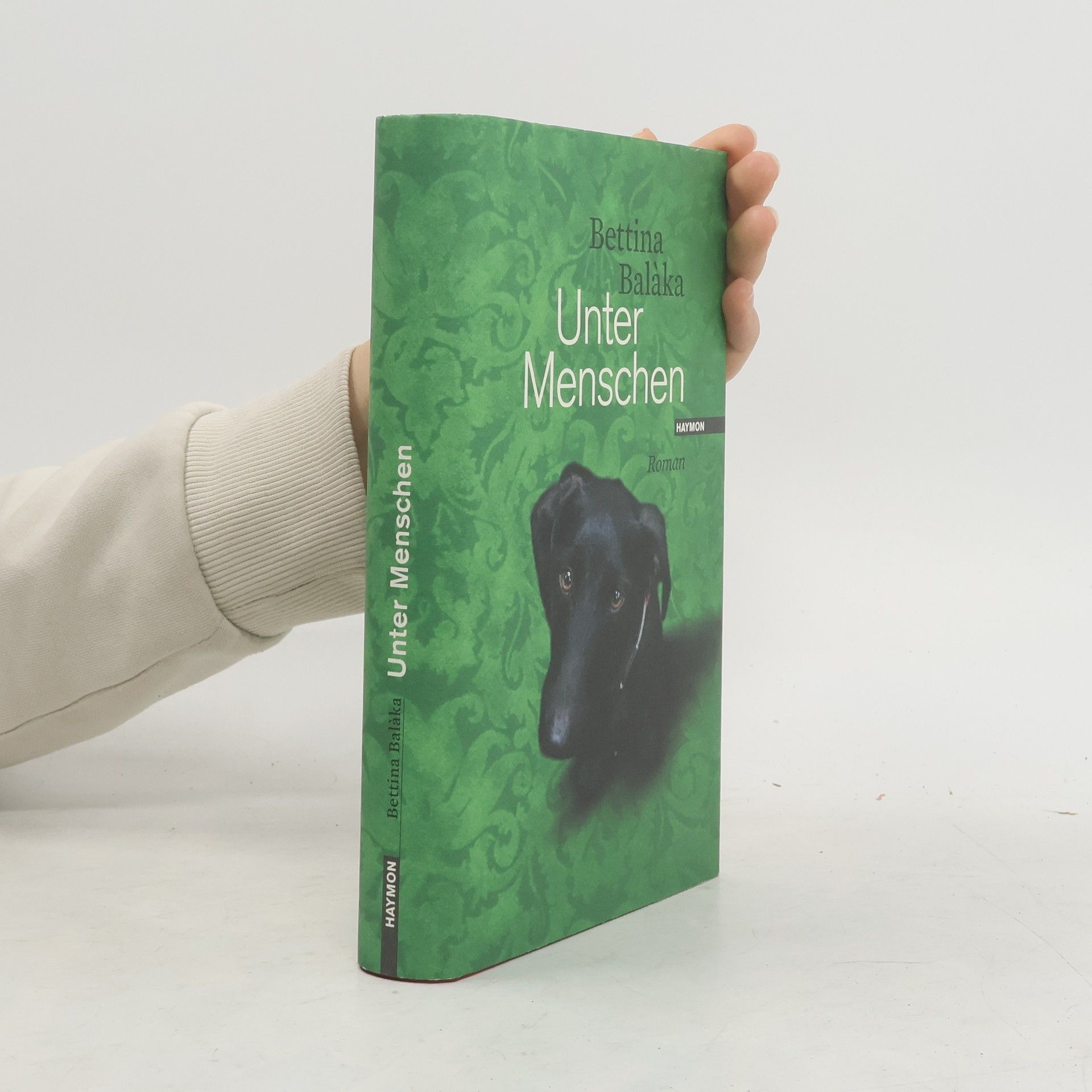 Bettina Balàka Unter Menschen