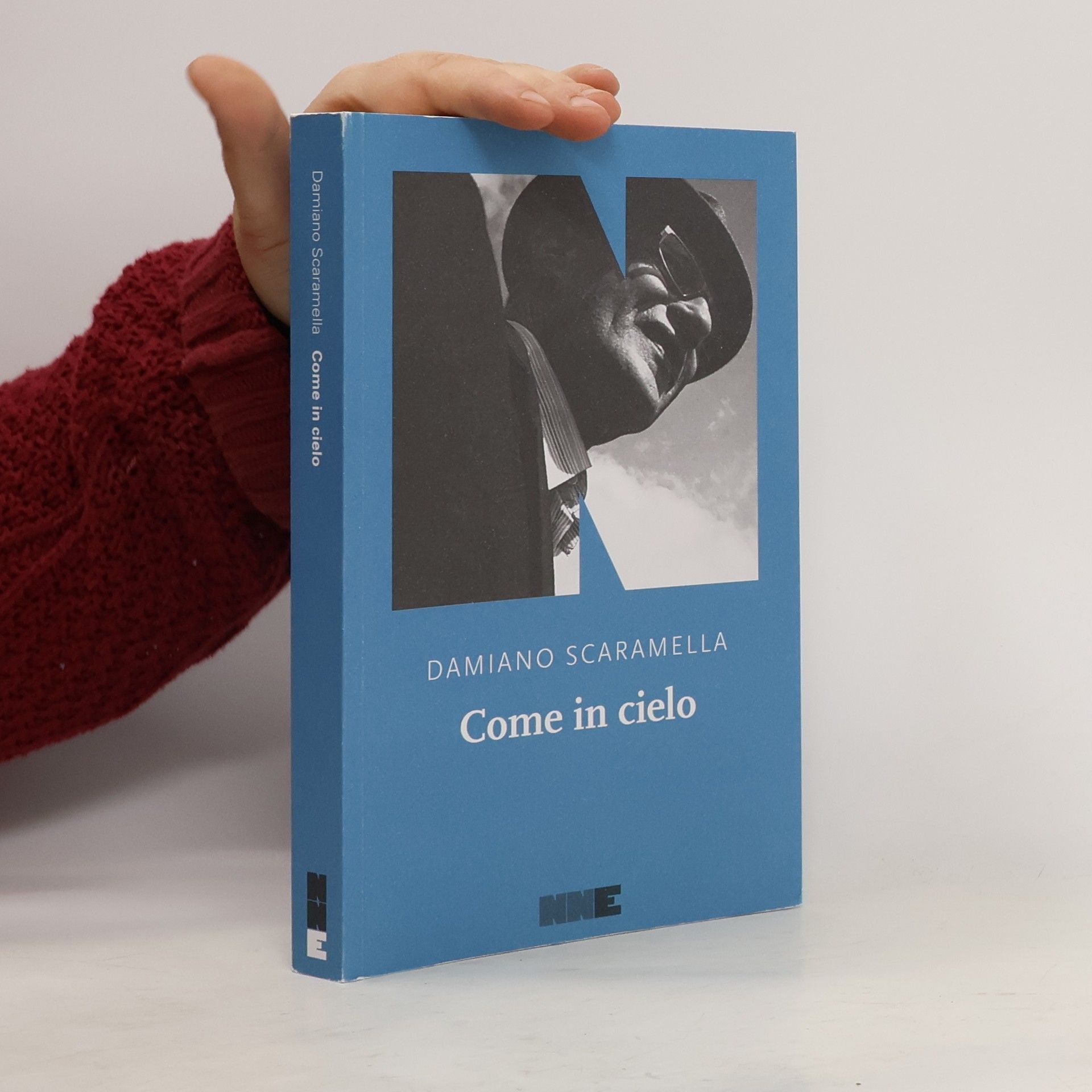 Damiano Scaramella Come in cielo