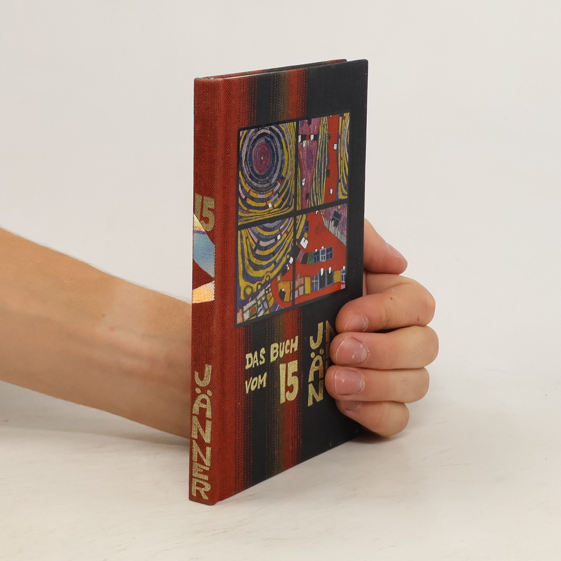 AA.VV. das buch vom 15 jänner