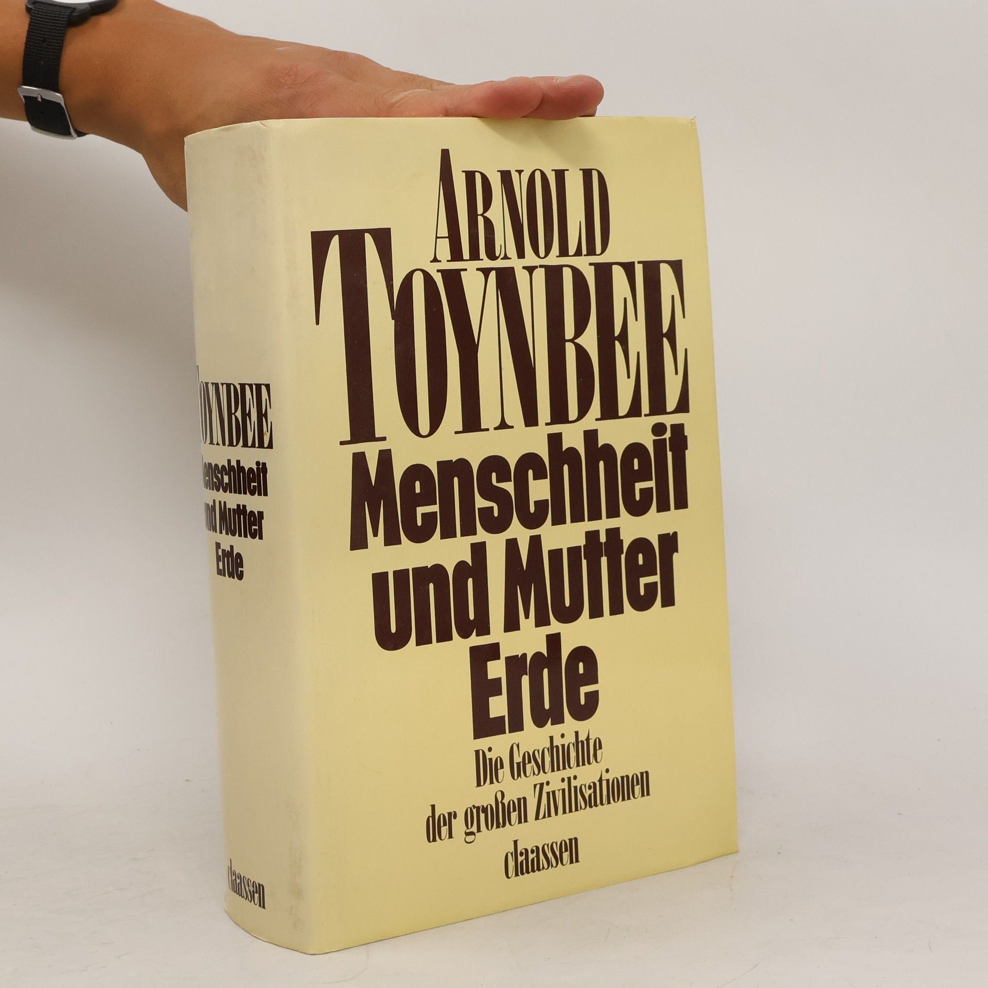 Arnold J. Toynbee Menschheit und Mutter Erde