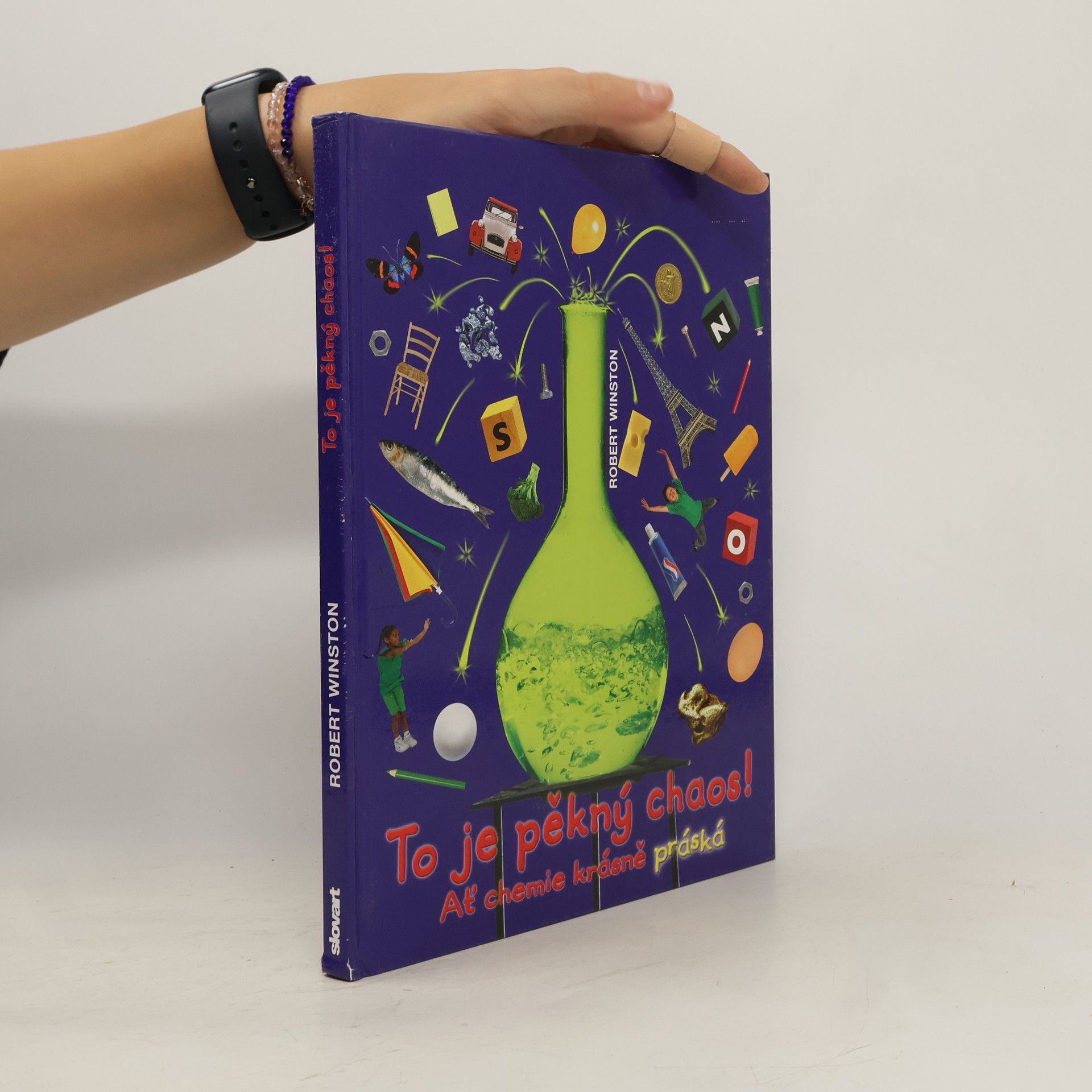 Robert Winston To je pěkný chaos!