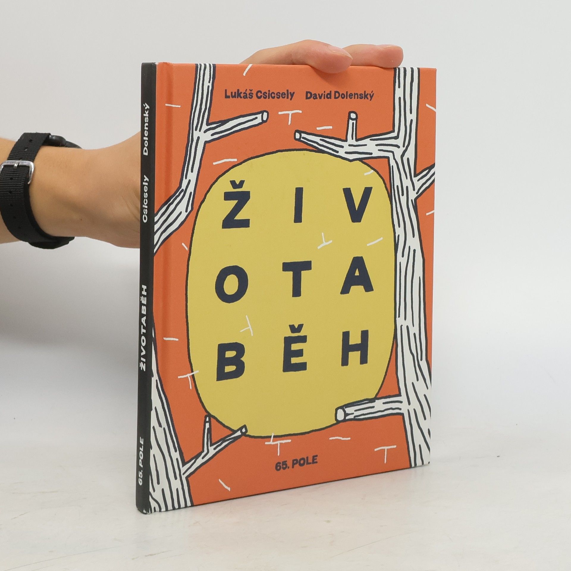 Lukáš Csicsely Životaběh