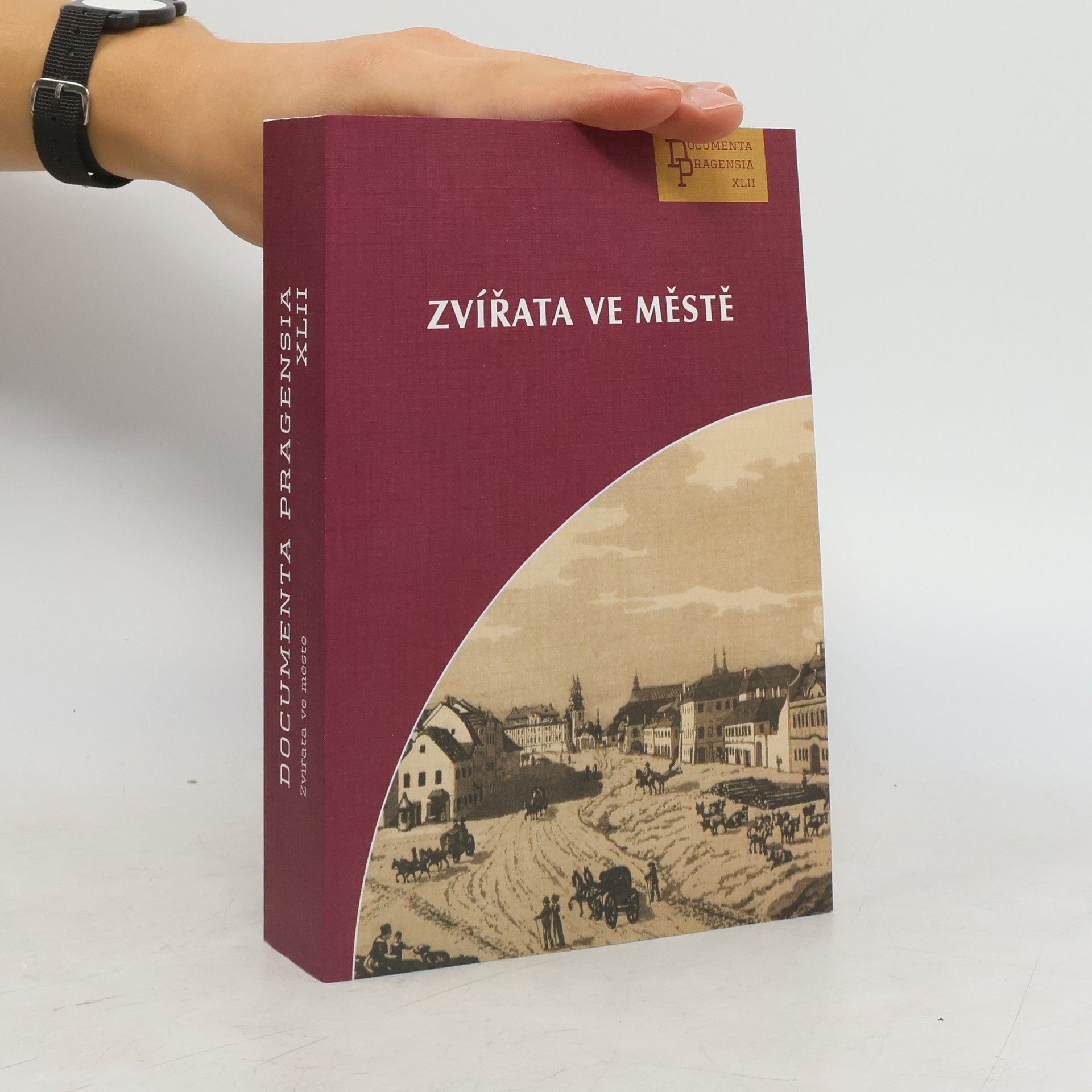 Kolektiv autorů Zvířata ve městě