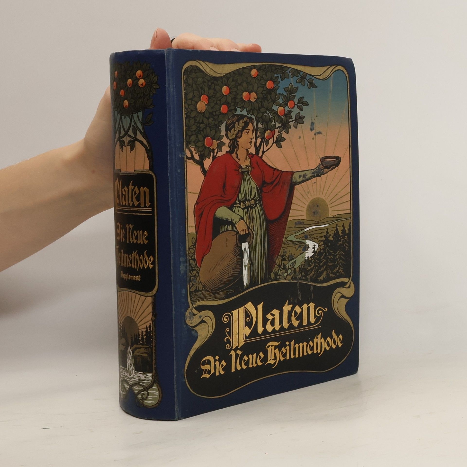 M. Platen Die Neue Heilmethode