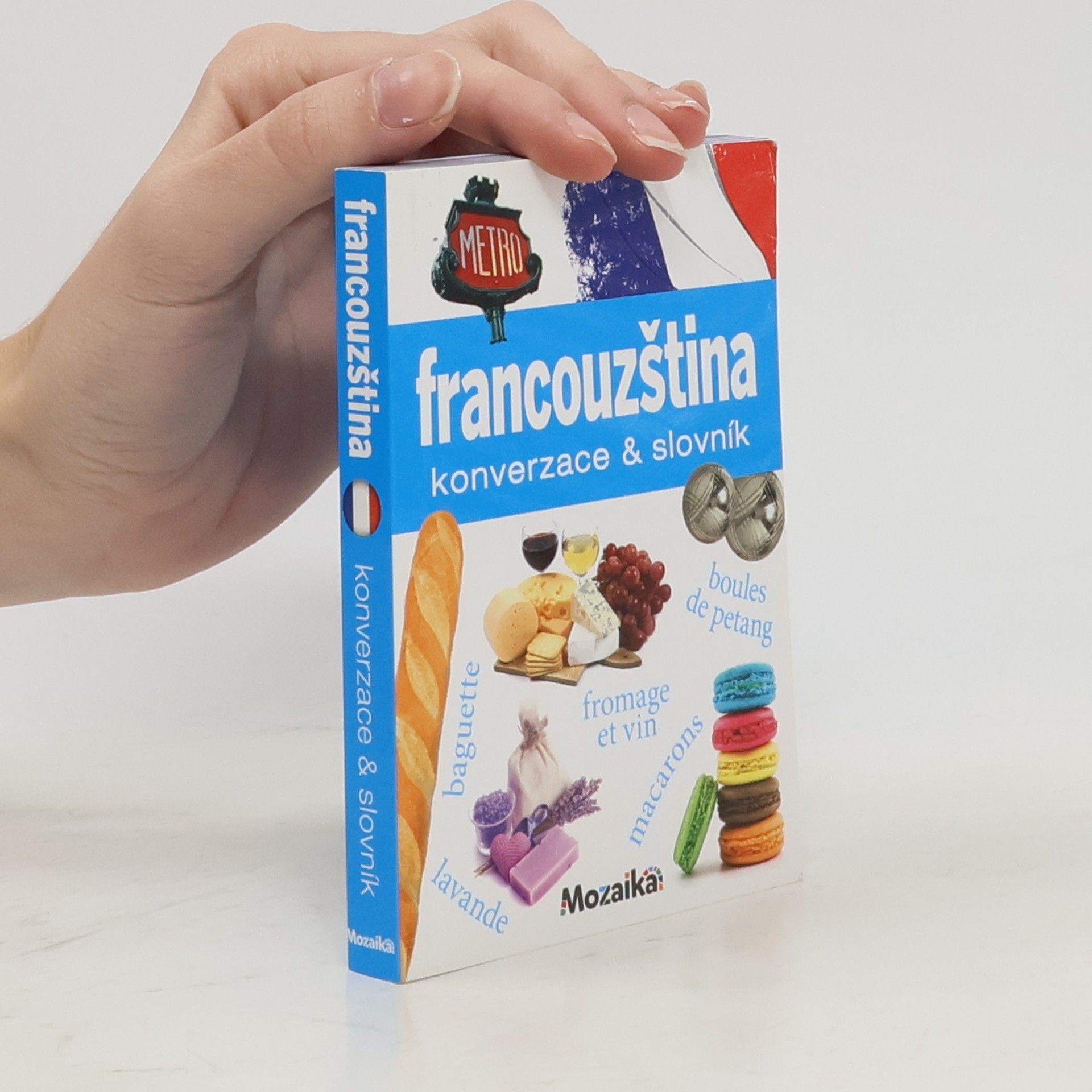 Autorenkollektiv Francouzština : konverzace & slovník