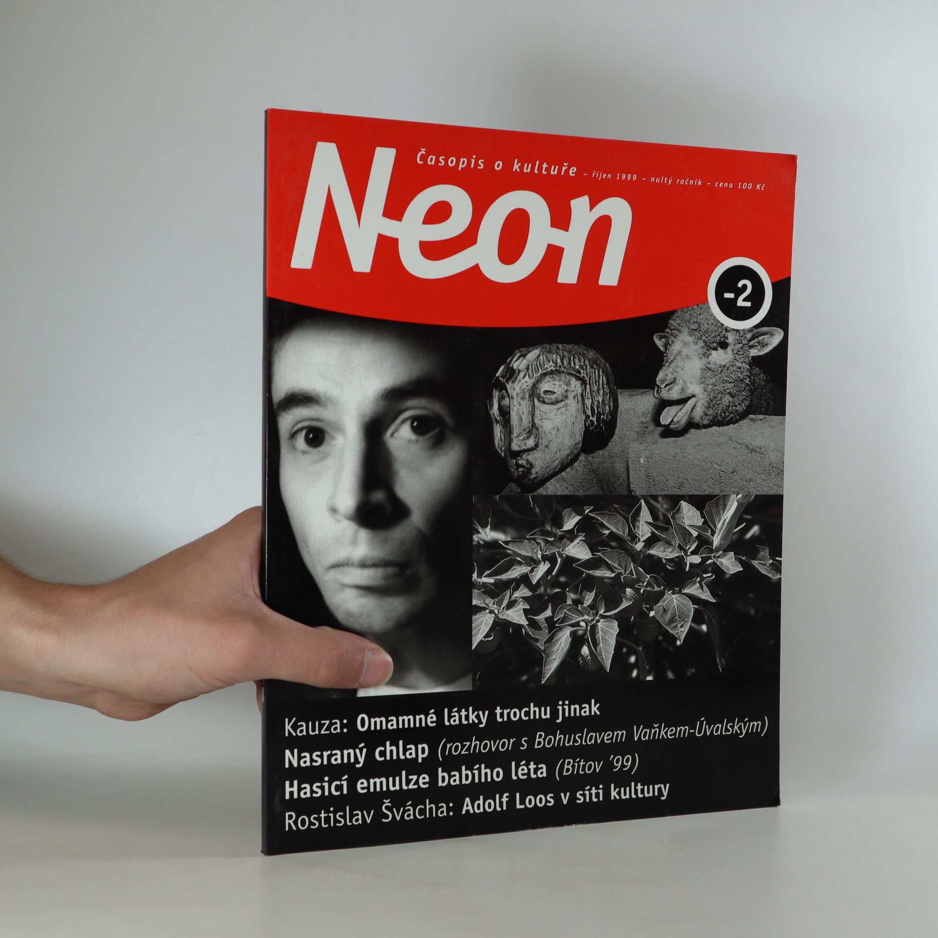 kolektiv Neon č. -1 a -2.