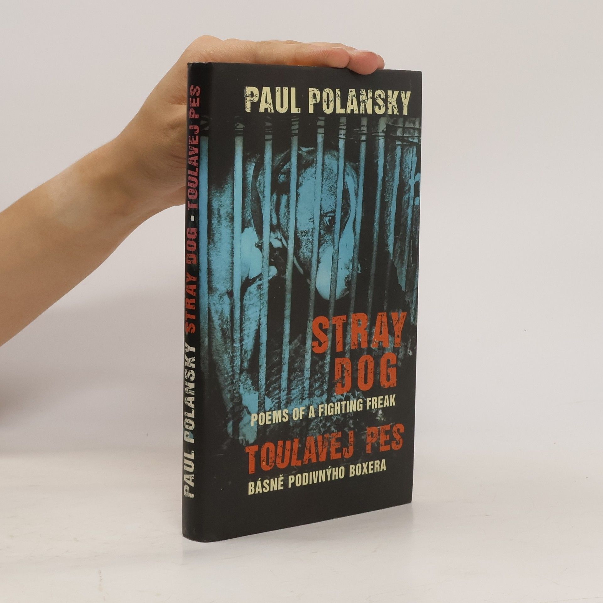 Stray dog : poems of a fighting freak = Toulavej pes : básně podivnýho boxera