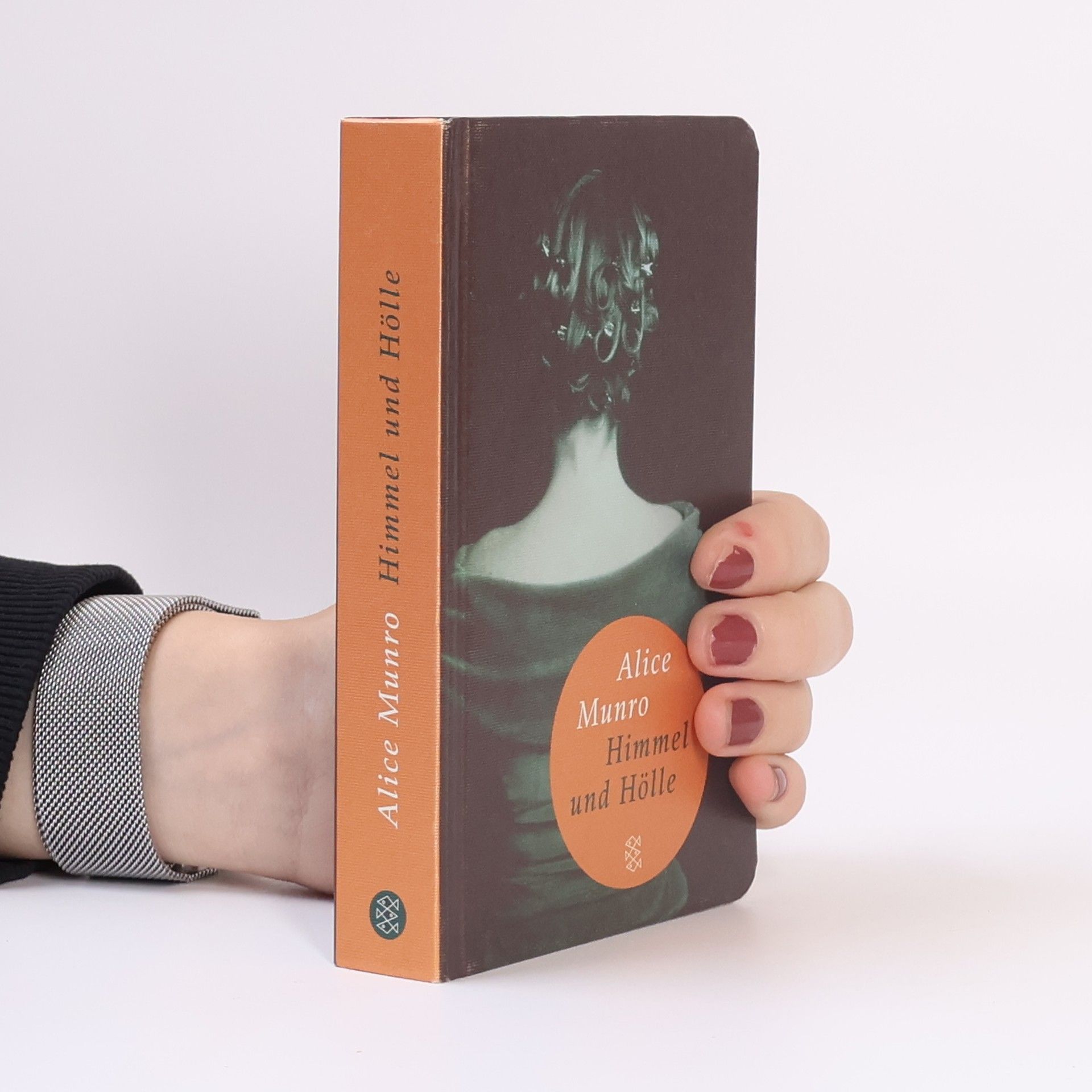 Alice Munro Himmel und Hölle