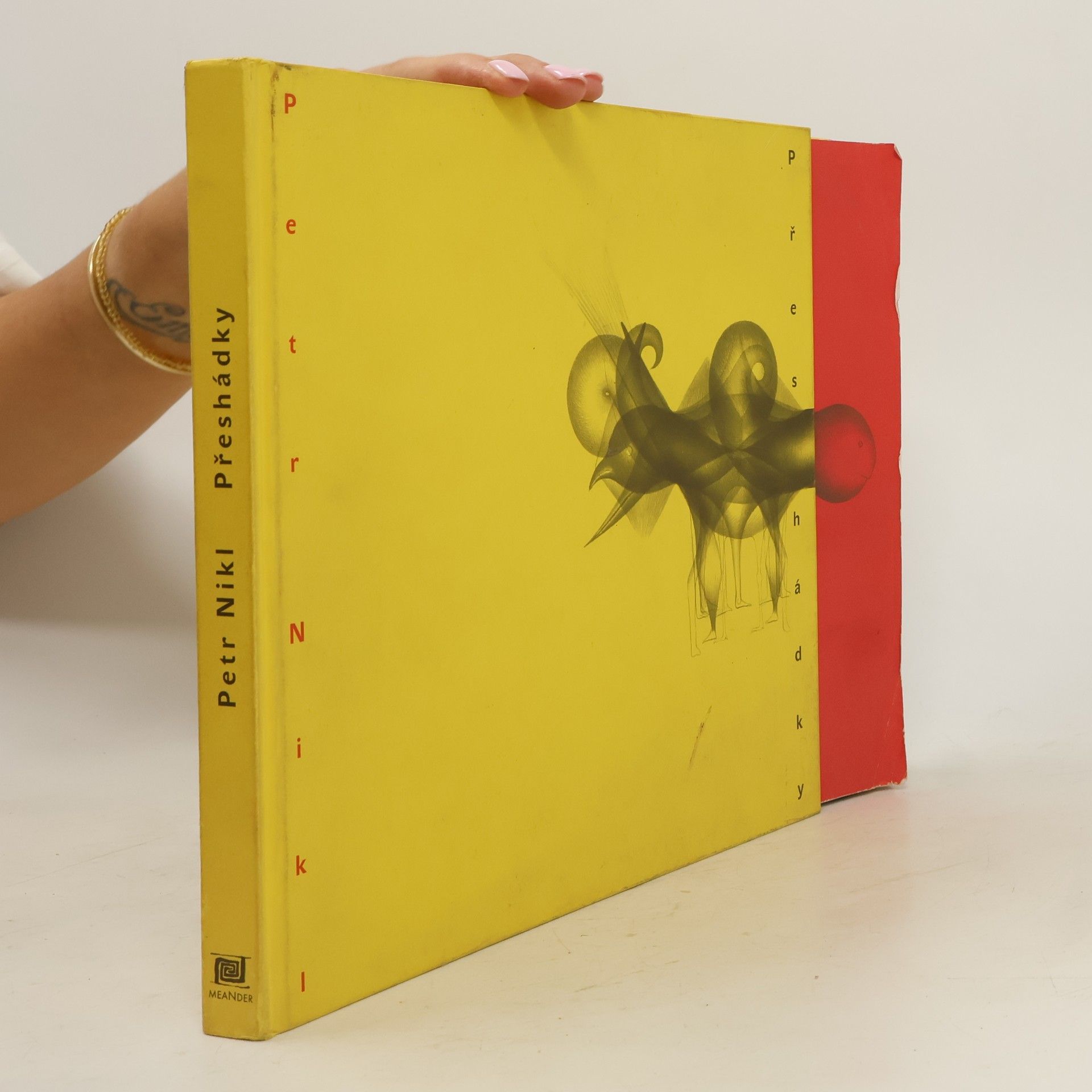 Petr Nikl Přeshádky