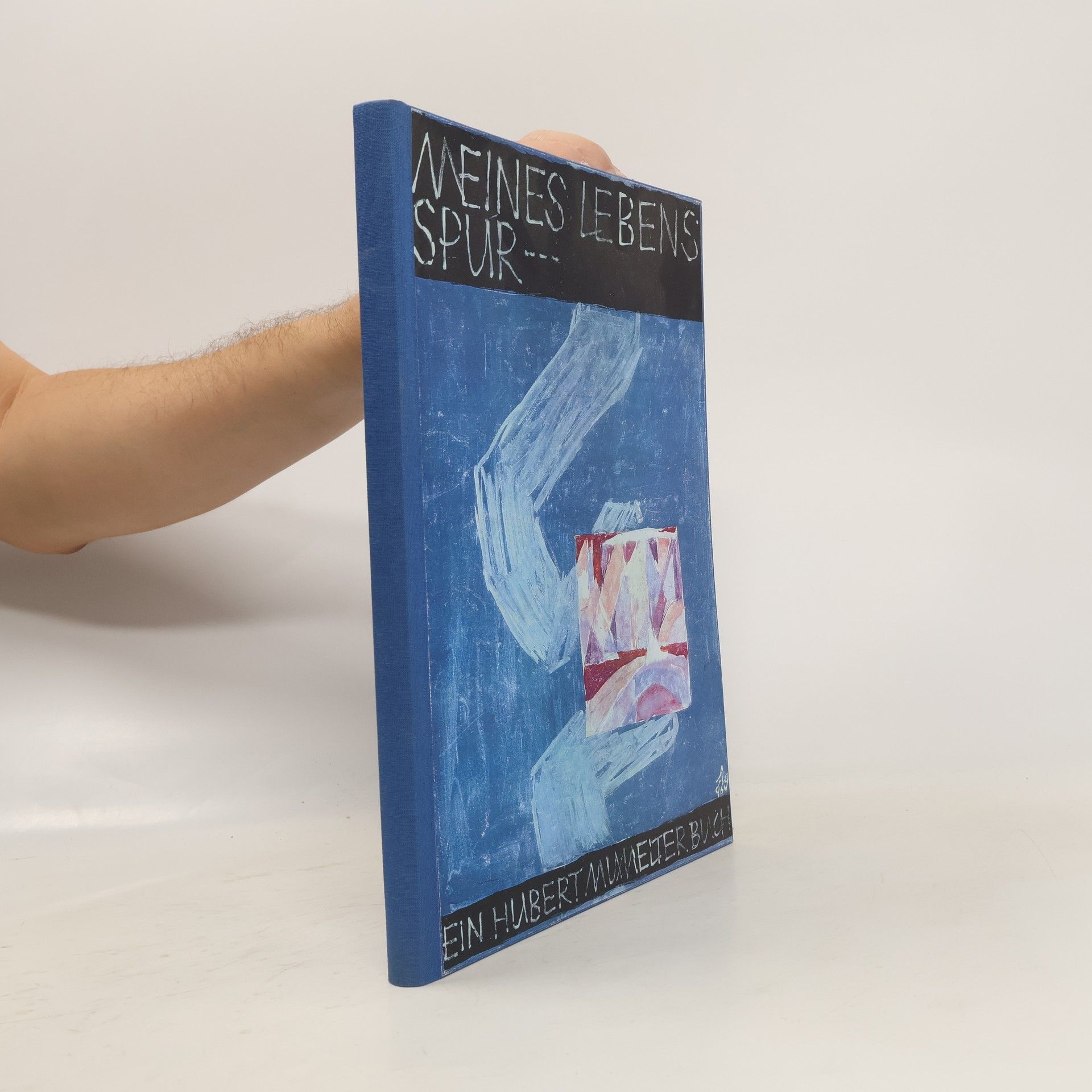 Autorenkollektiv Meines Lebens Spur...