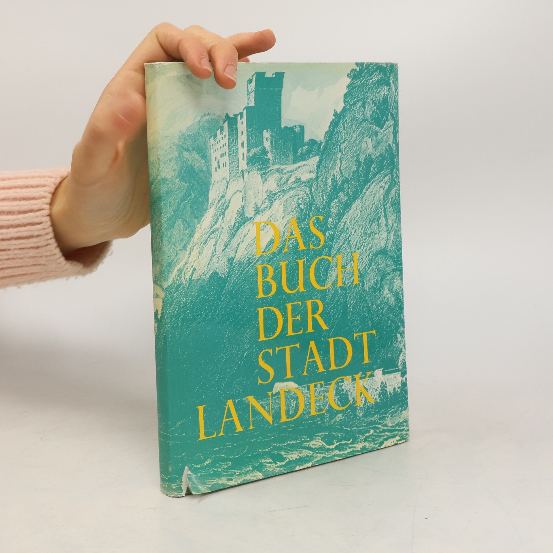 Autores varios Das Buch der Stadt Landeck