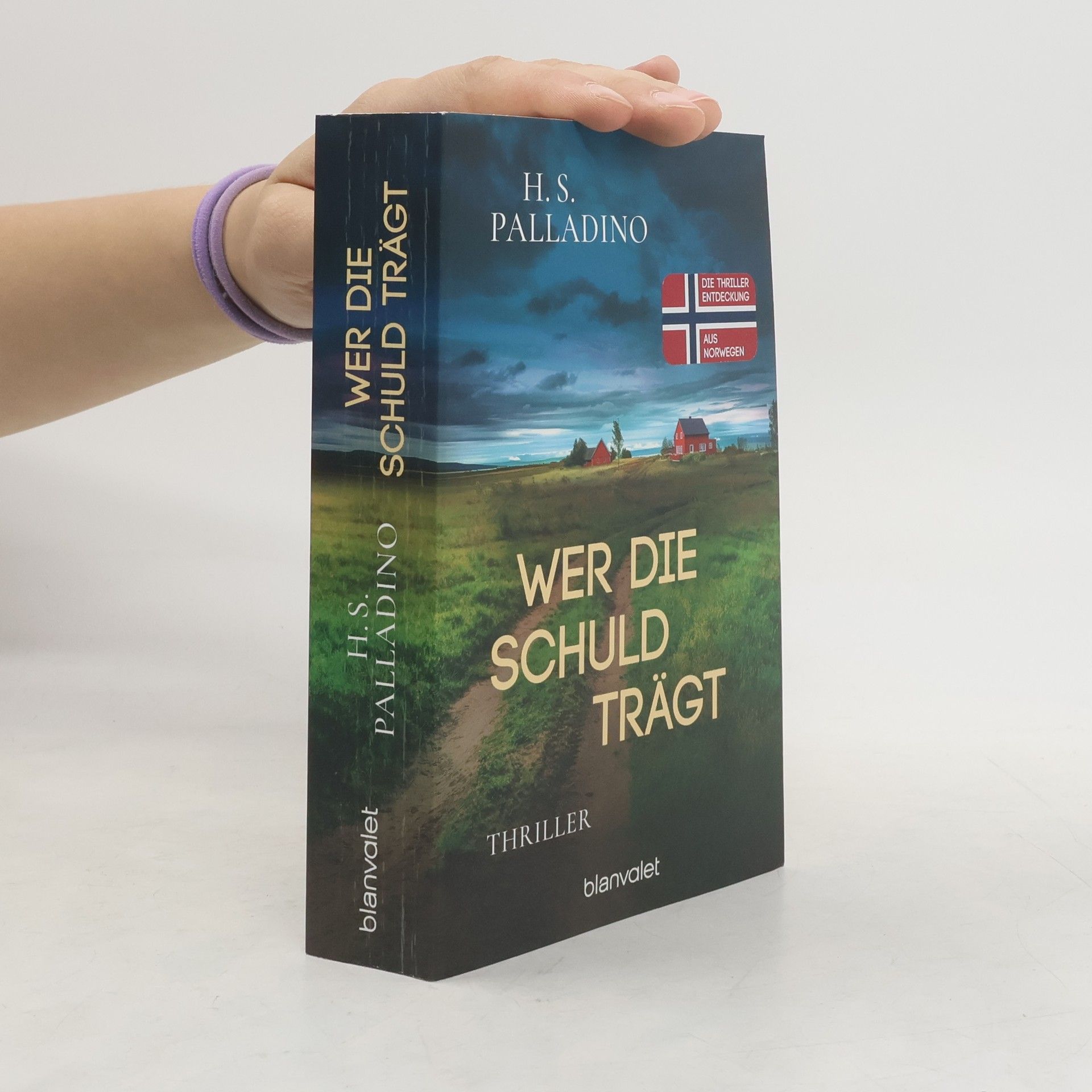 H.S. Palladino Wer die Schuld trägt