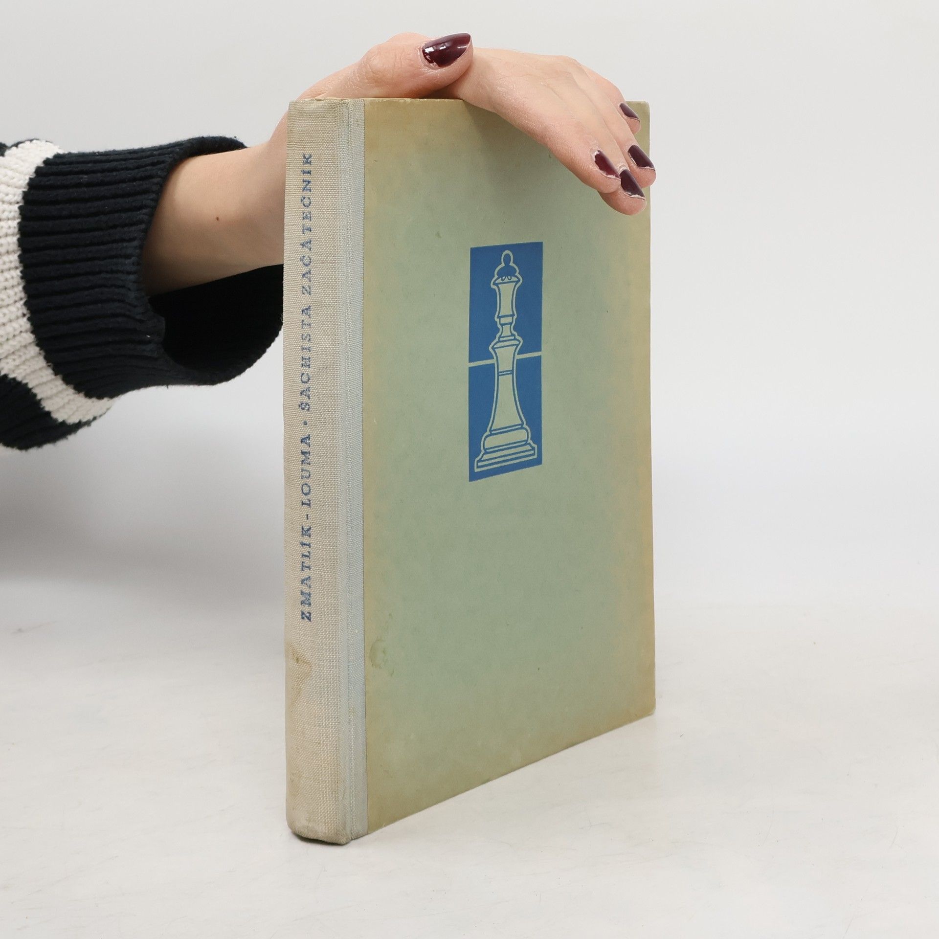 Šachista začátečník