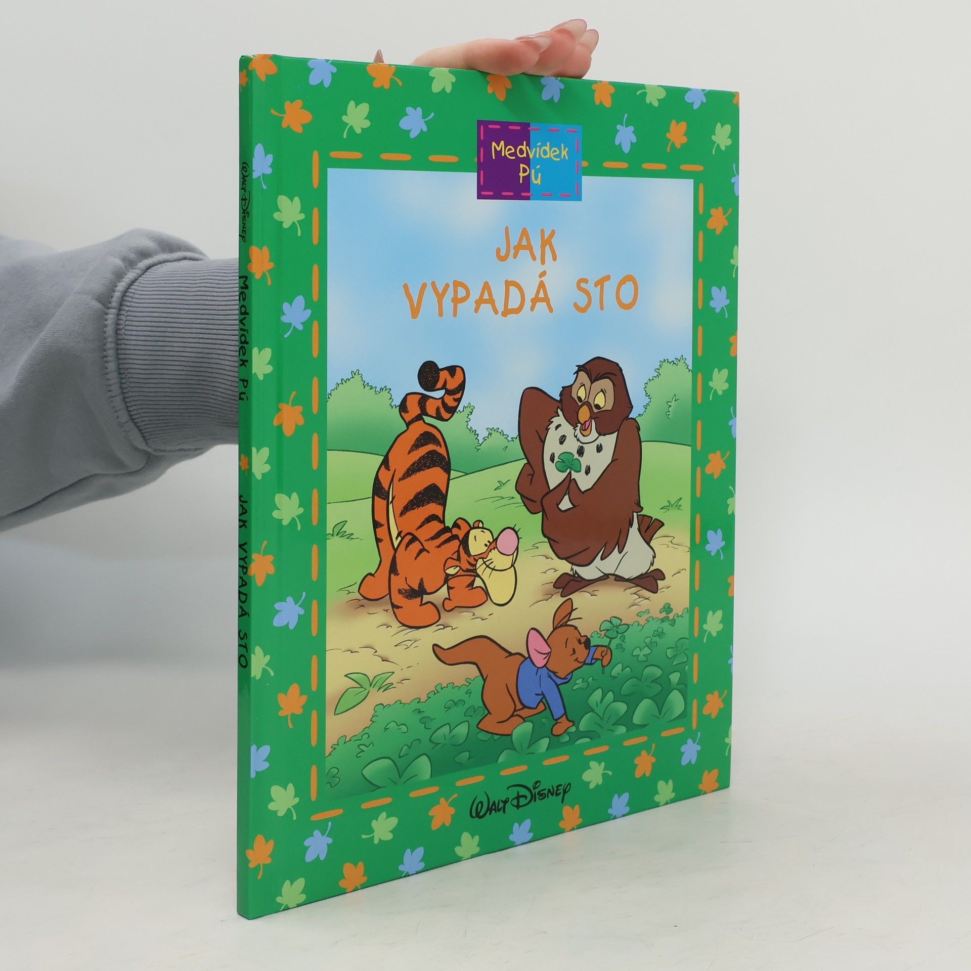 Autorenkollektiv Medvídek Pú. Jak vypadá sto